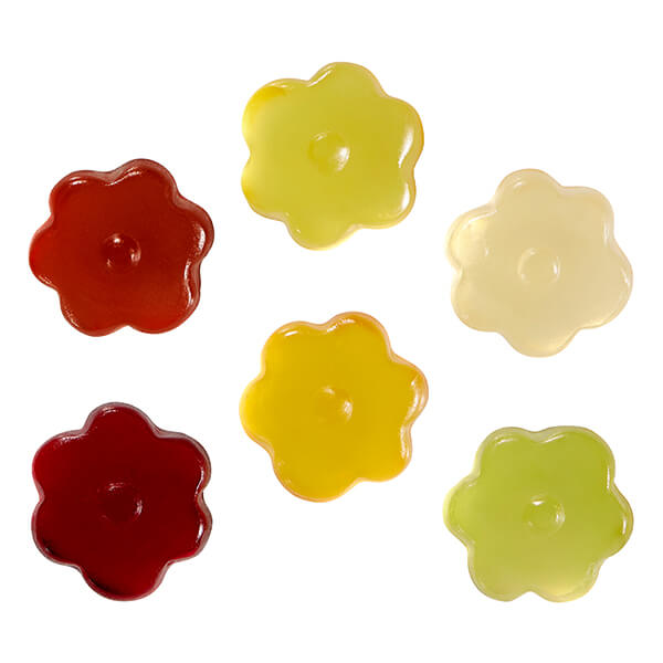 Fruchtgummi STANDARD-Formen 10 g im kompostierbaren Tütchen – Blume