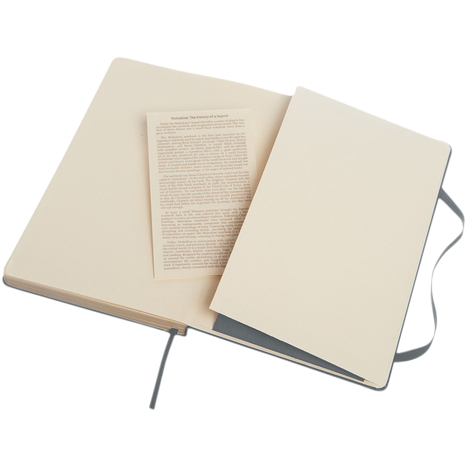 Moleskine Classic Hardcover Notizbuch L – liniert