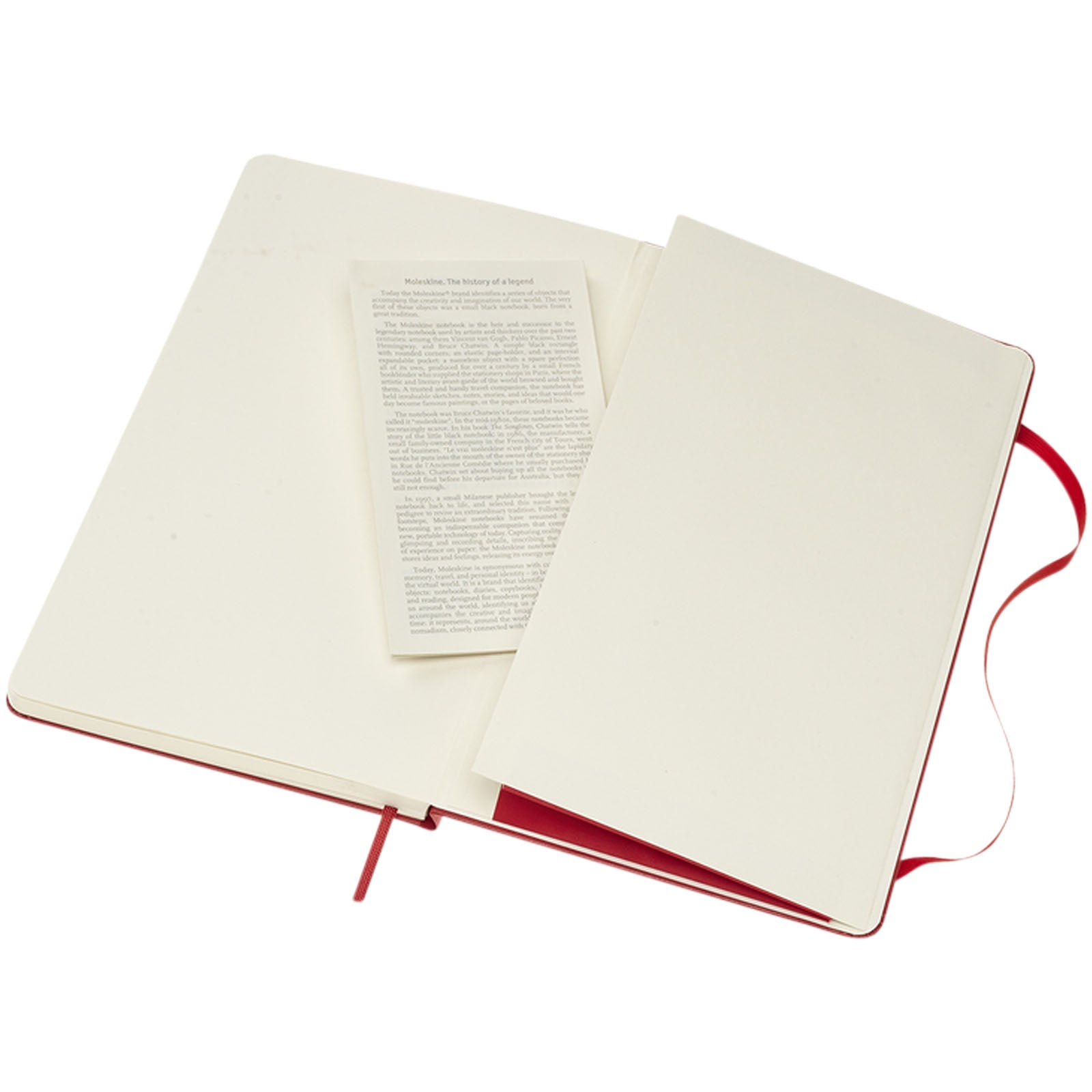 Moleskine Classic Hardcover Notizbuch L – liniert