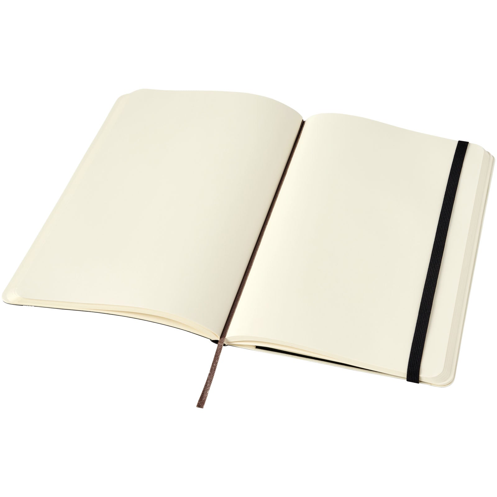 Moleskine Classic Softcover Notizbuch L – blanko
