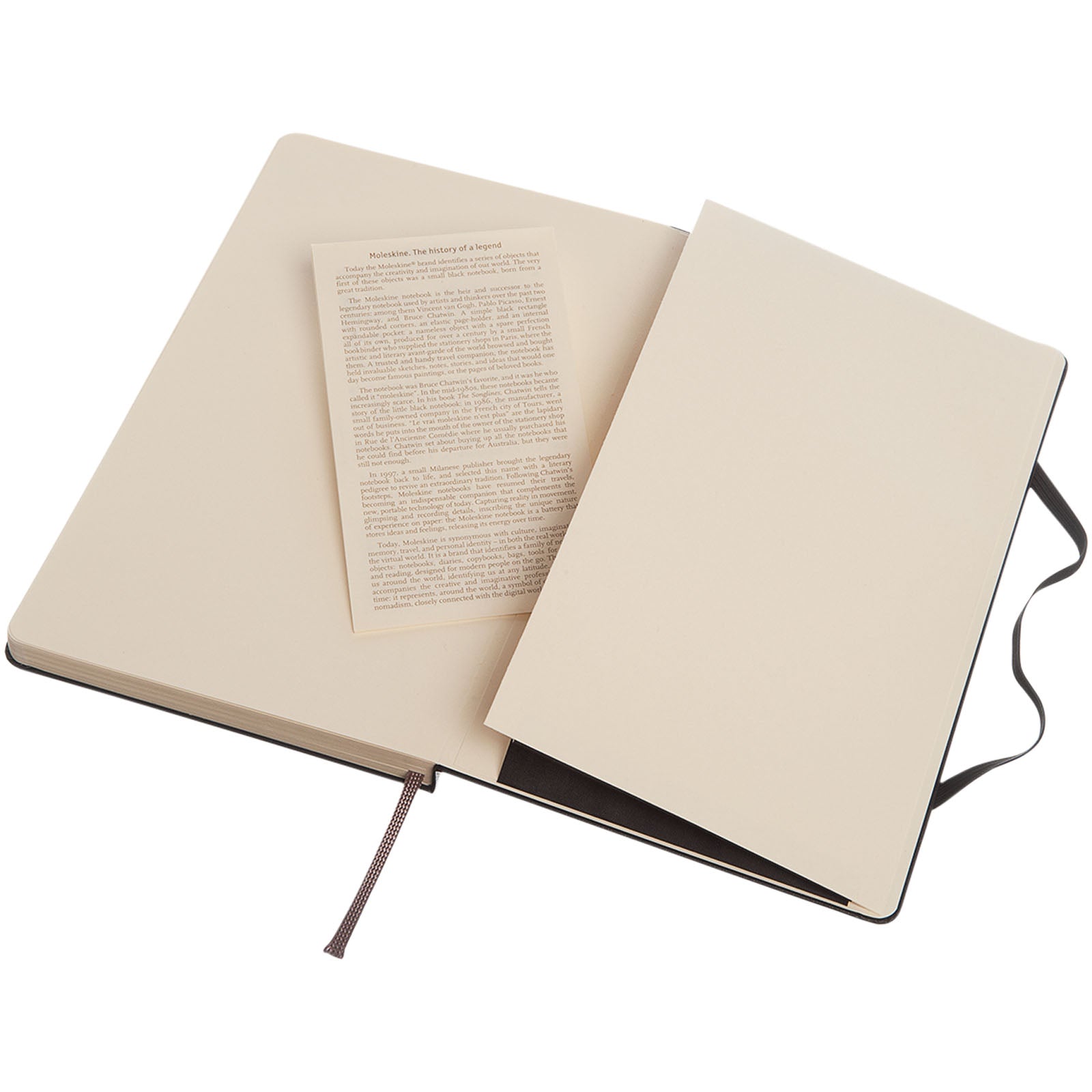 Moleskine Classic Hardcover Notizbuch L – gepunktet