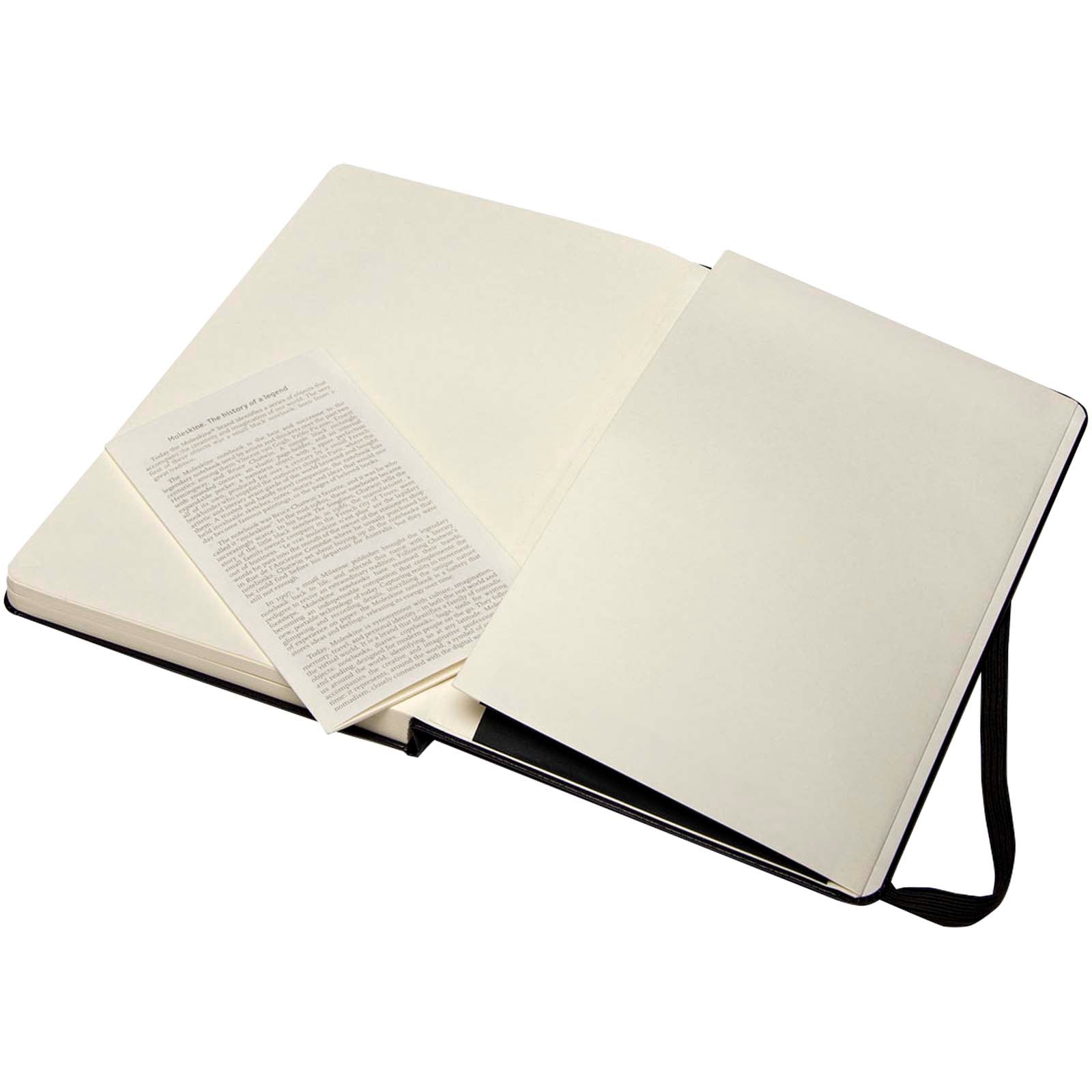 Moleskine Large  Art Skizzenbuch