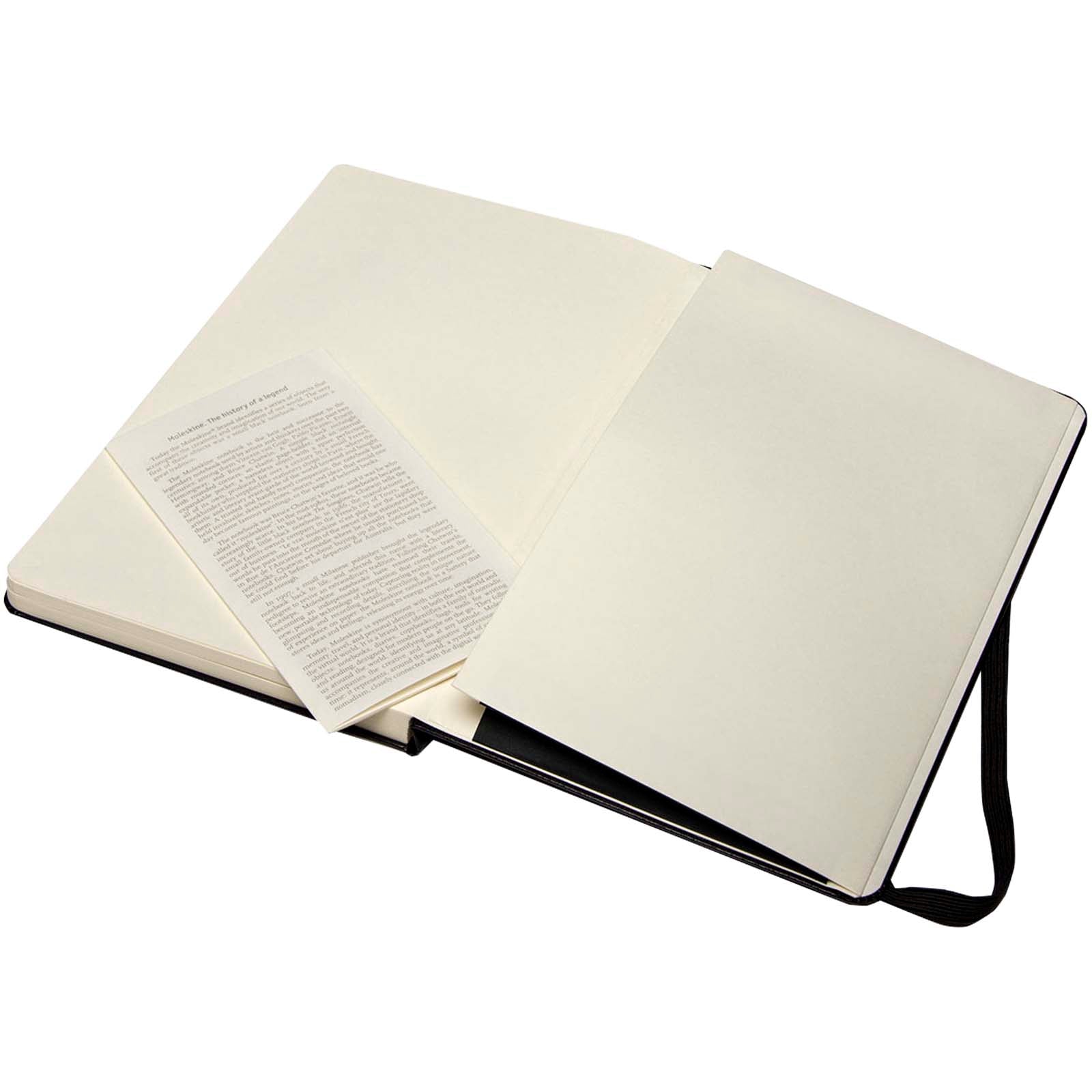 Moleskine Large  Art Skizzenbuch