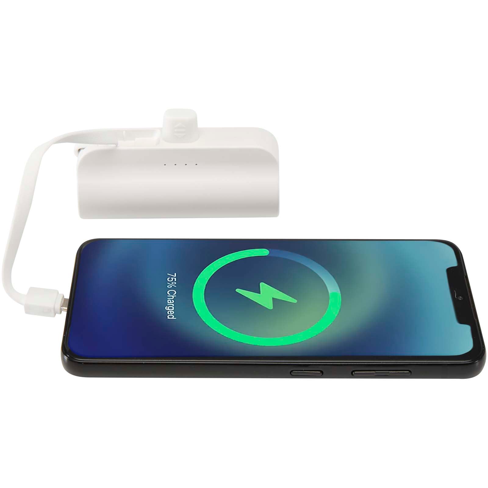 Alnair 10 W 5000 mAh Typ C Powerbank aus recyceltem Kunststoff mit integriertem Klappständer und 2 in 1 Kabel