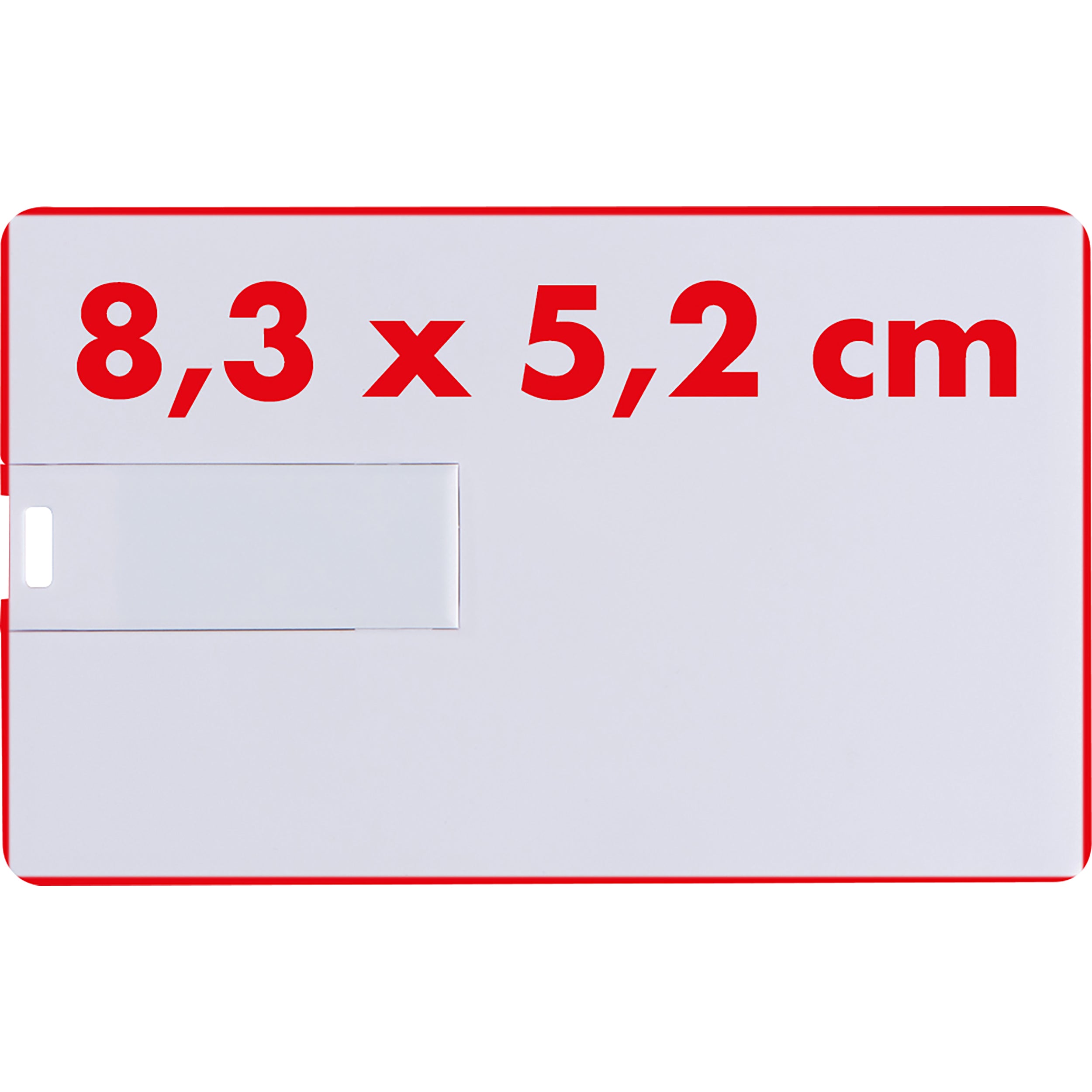 USB Karte 8GB LEONA