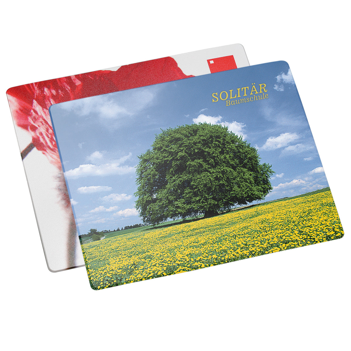 Mouse-Pad "Omega" – Bild 1