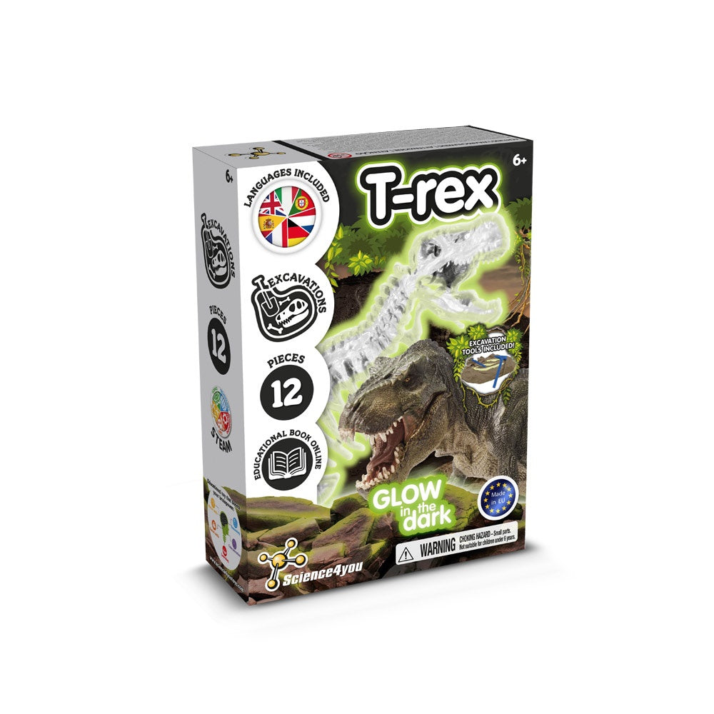 Fossil Excavation Kit I. Lernspiel für Kinder – zusätzliche Ansicht