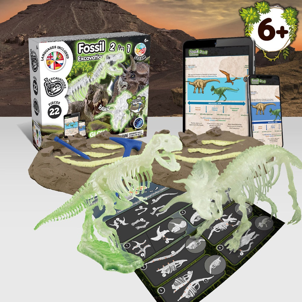 2 in 1 Fossil Excavation Kit I. Lernspiel für Kinder – zusätzliche Ansicht