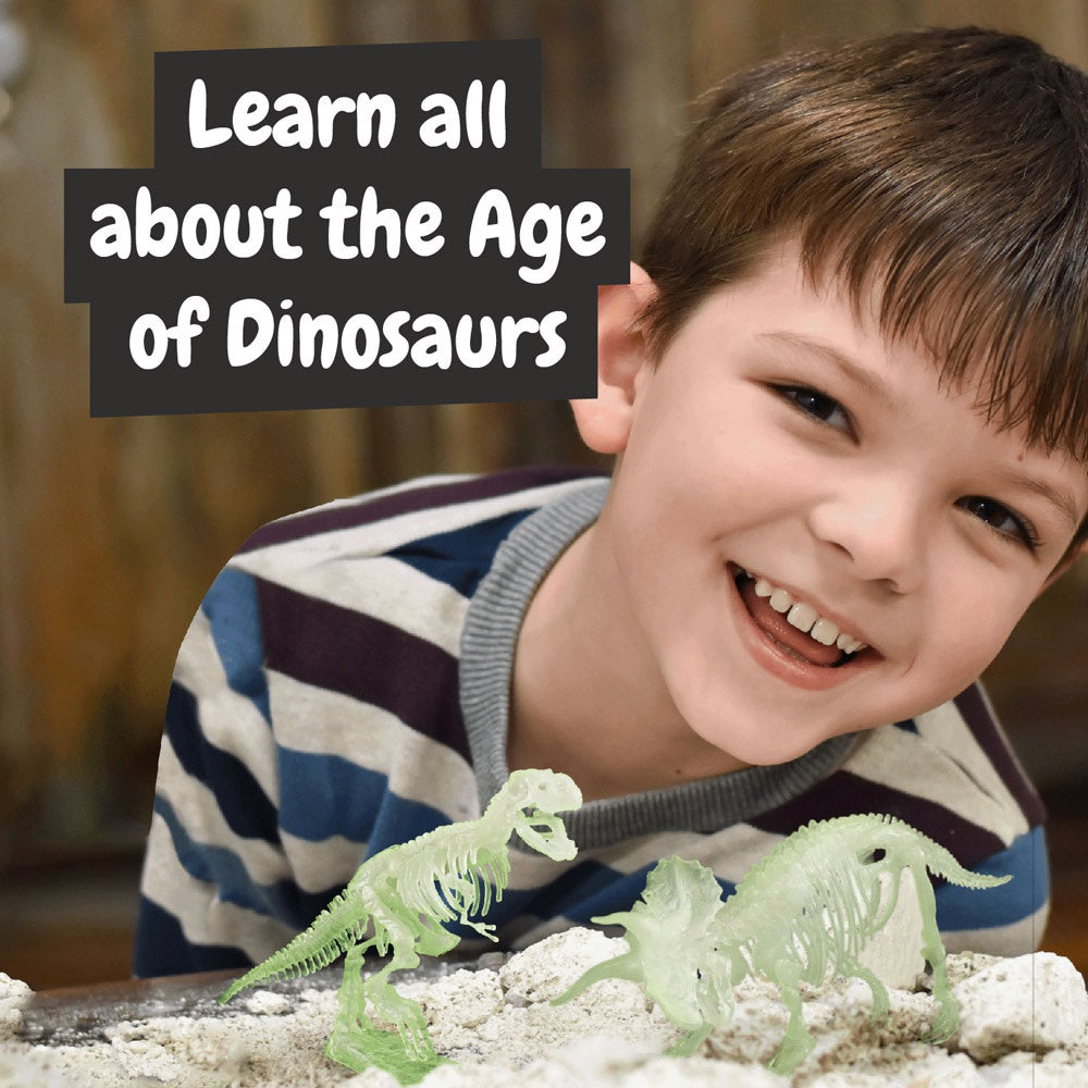 2 in 1 Fossil Excavation Kit I. Lernspiel für Kinder – zusätzliche Ansicht