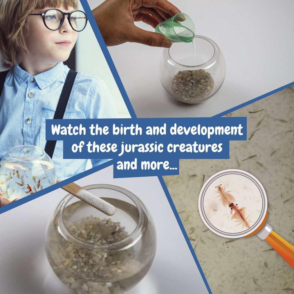 Jurassic Pets Kit I. Lernspiel für Kinder – zusätzliche Ansicht