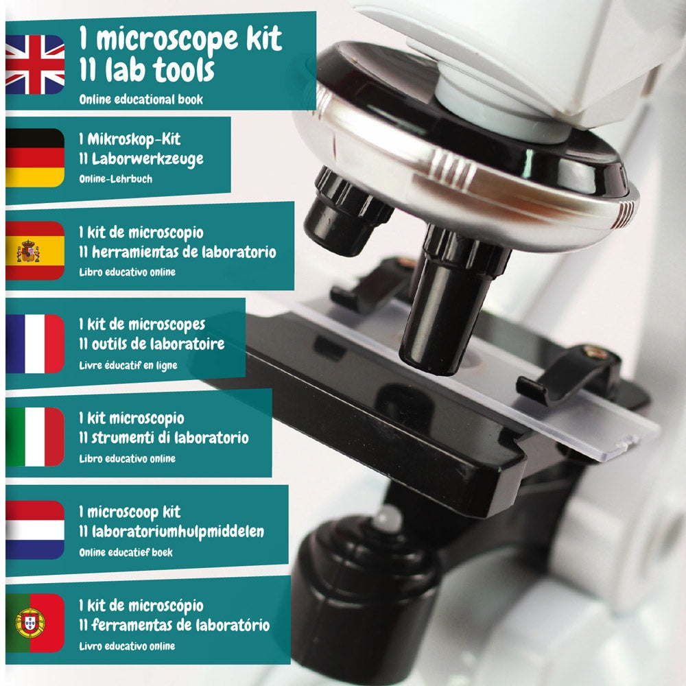 MICROSCOPE. Lernspiel für Kinder – zusätzliche Ansicht