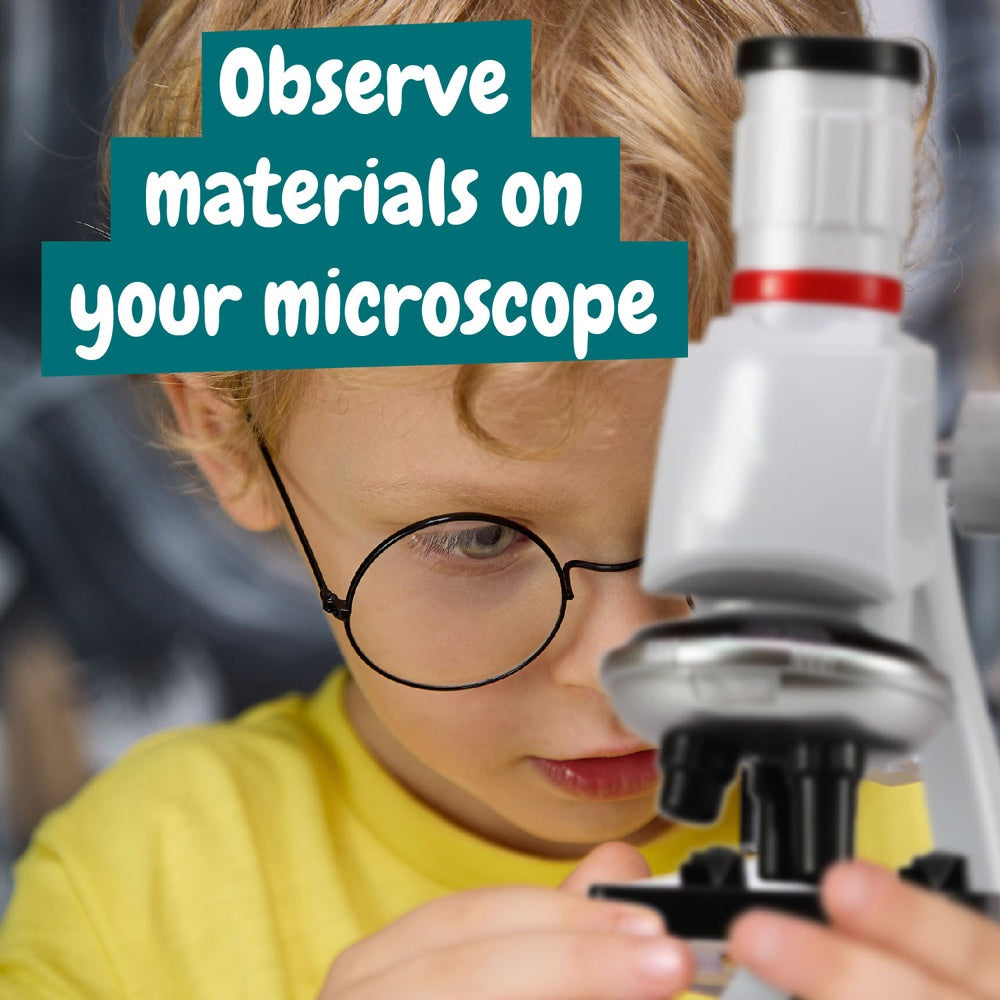 MICROSCOPE. Lernspiel für Kinder – zusätzliche Ansicht