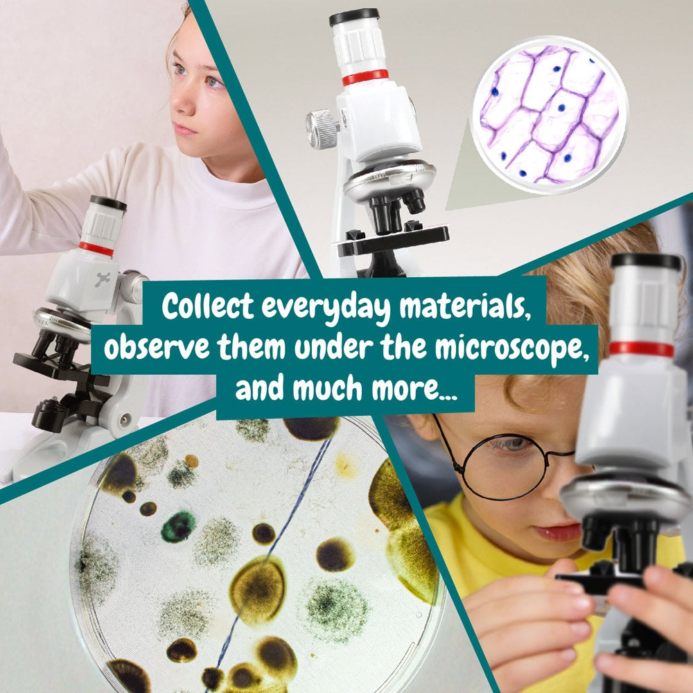 MICROSCOPE. Lernspiel für Kinder – zusätzliche Ansicht