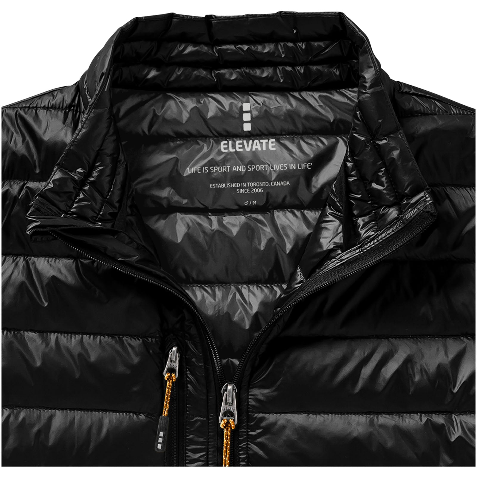 Scotia leichter Daunen-Bodywarmer für Herren