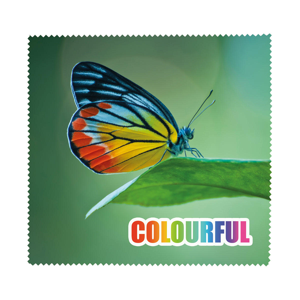 Mikrofasertuch – Bild 1