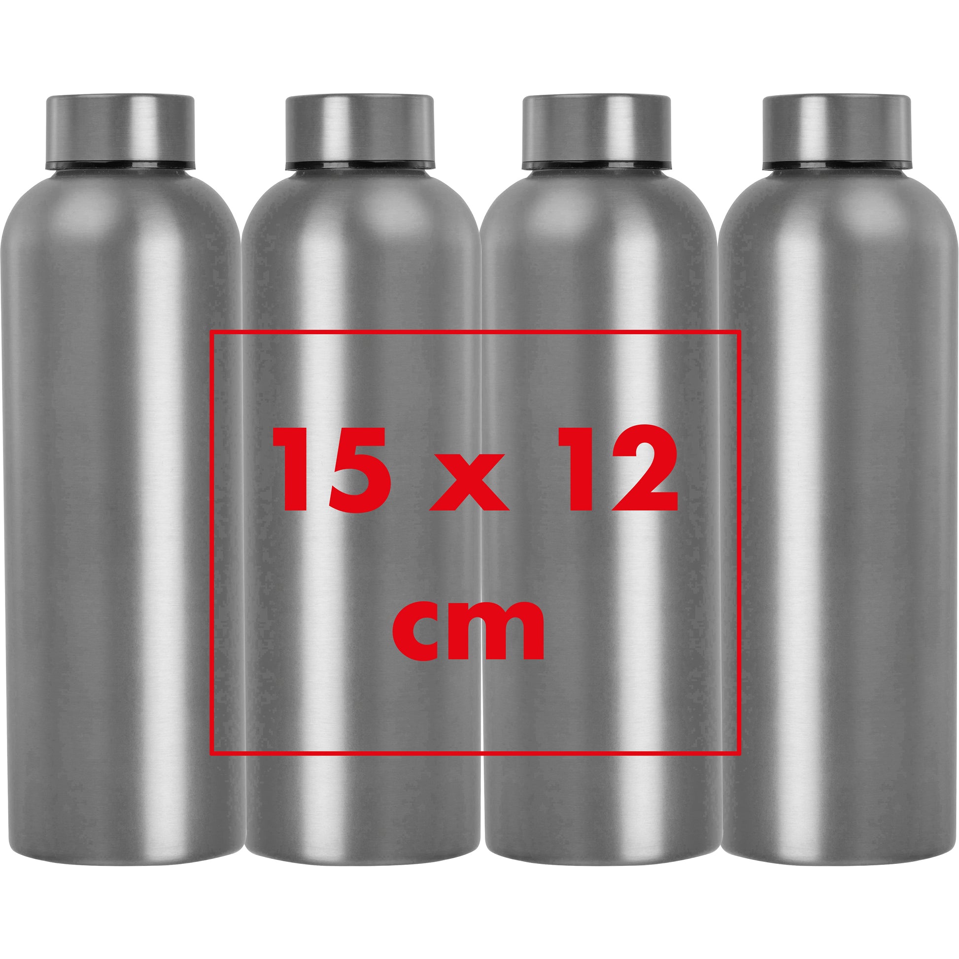 CrisMa Edelstahltrinkflasche, 700 ml VERENA