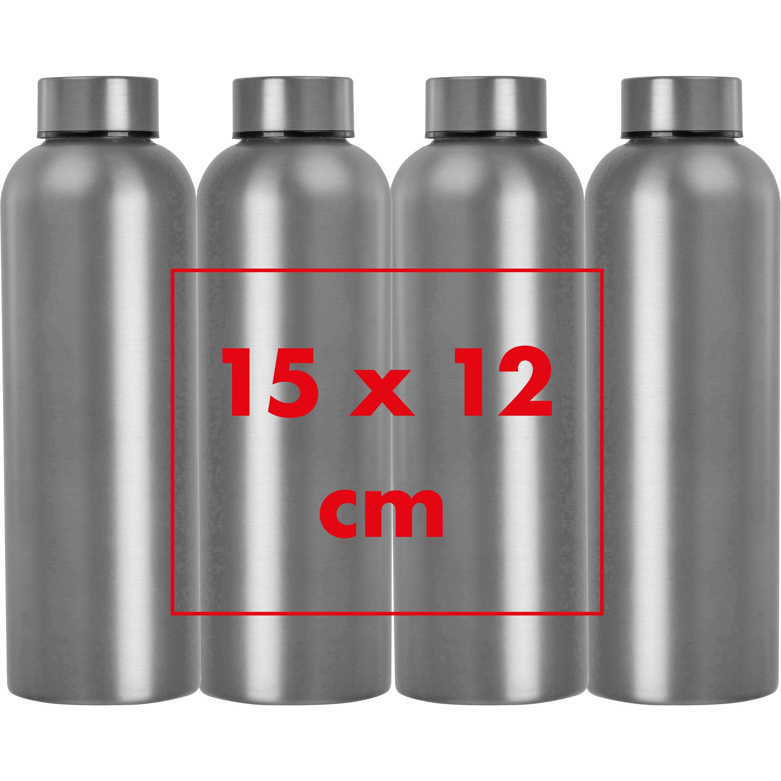 CrisMa Edelstahltrinkflasche, 700 ml VERENA