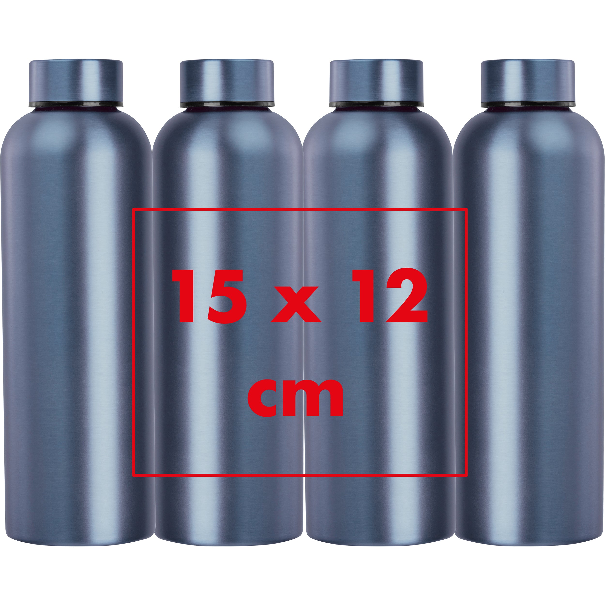 CrisMa Edelstahltrinkflasche, 700 ml VERENA