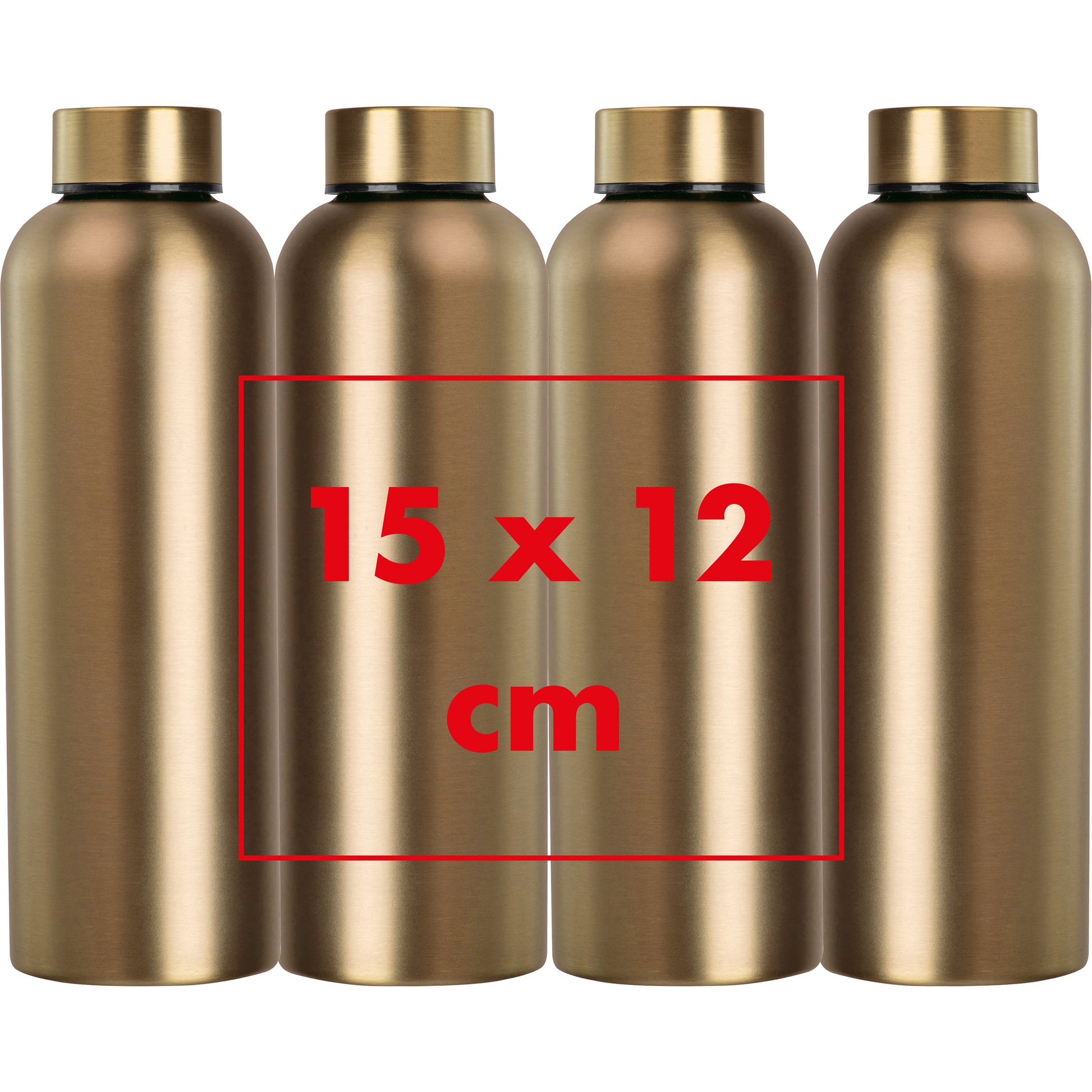 CrisMa Edelstahltrinkflasche, 700 ml VERENA