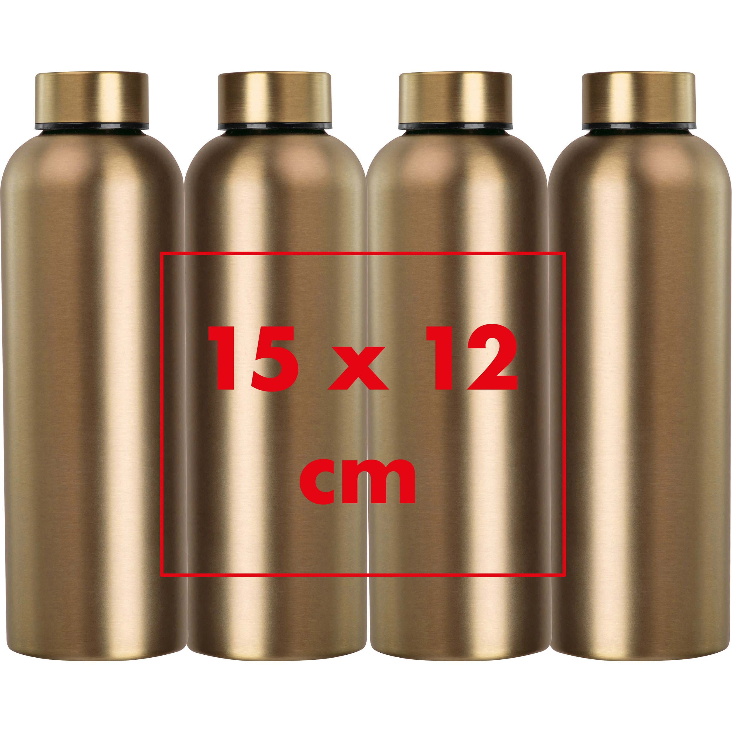 CrisMa Edelstahltrinkflasche, 700 ml VERENA