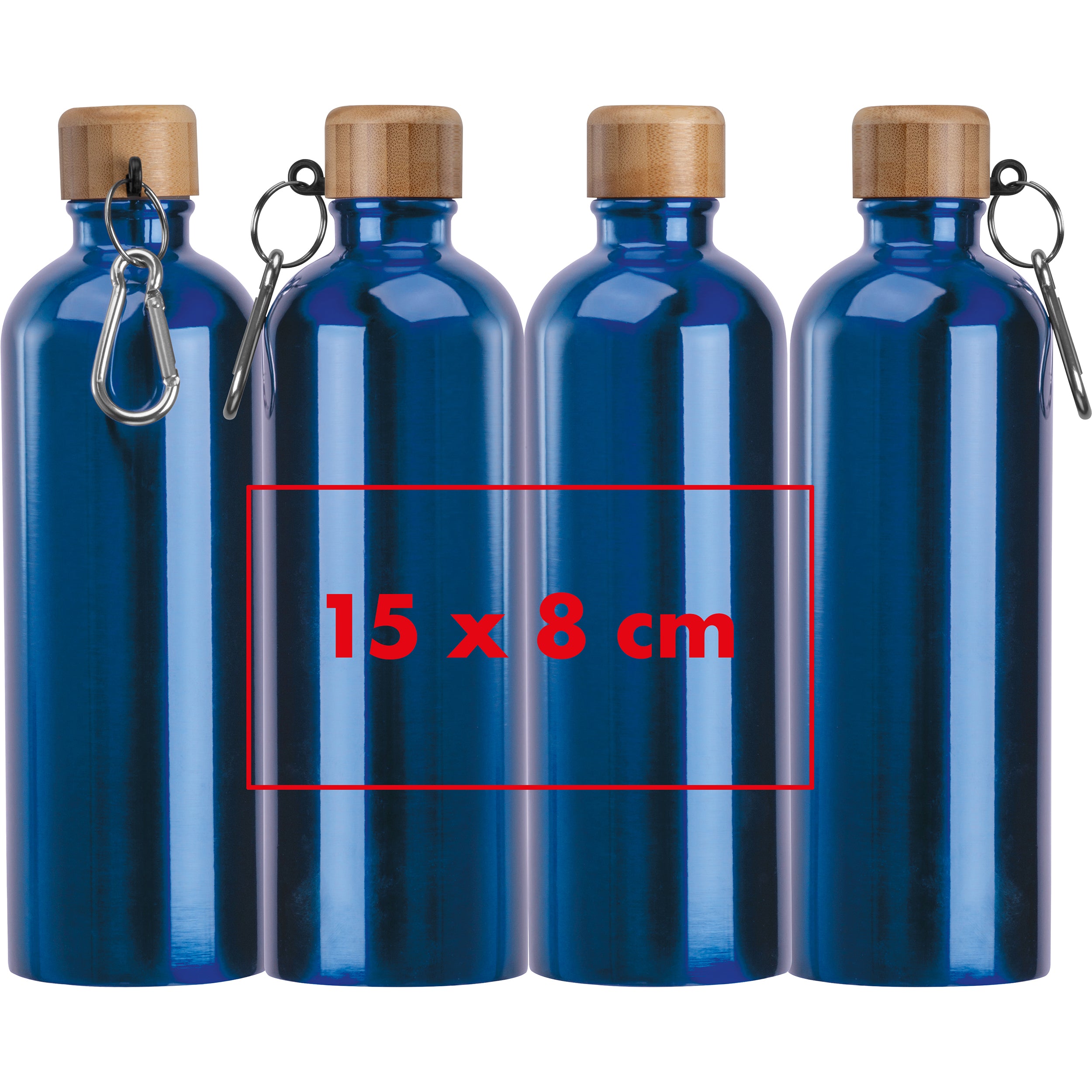 Edelstahltrinkflasche mit Karabiner, 750 ml RUTH