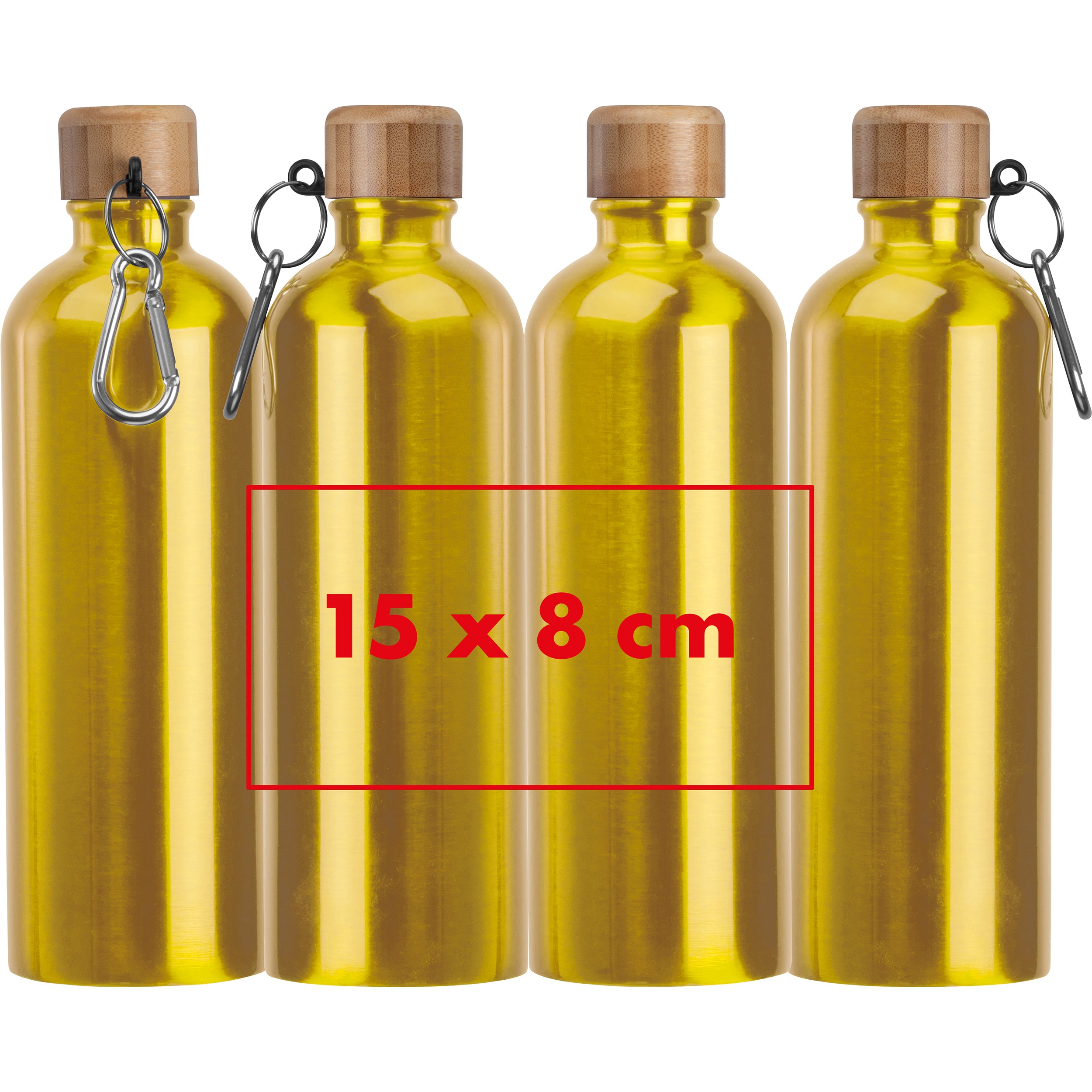 Edelstahltrinkflasche mit Karabiner, 750 ml RUTH