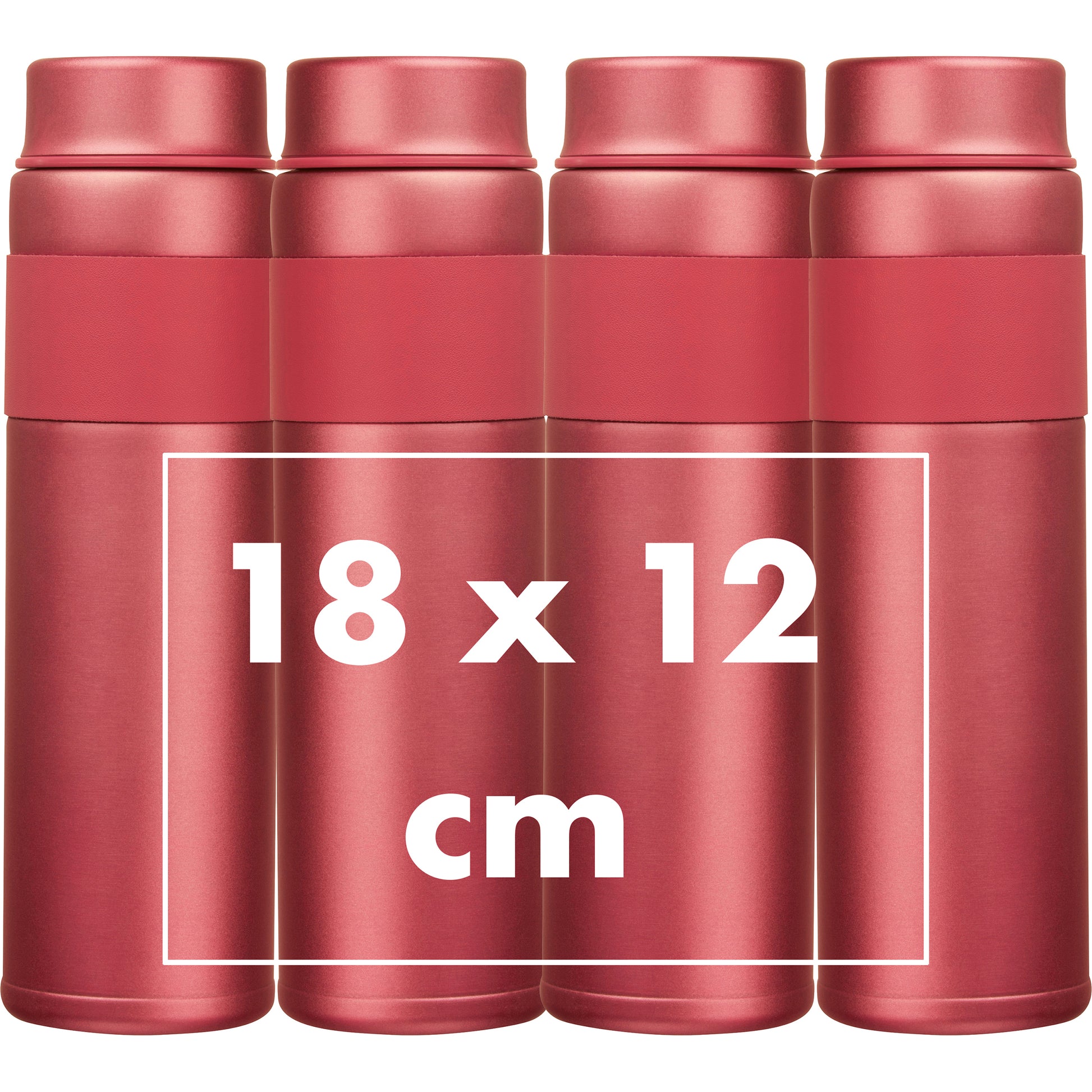 Vakuum Trinkflasche 600 ml NICOLE