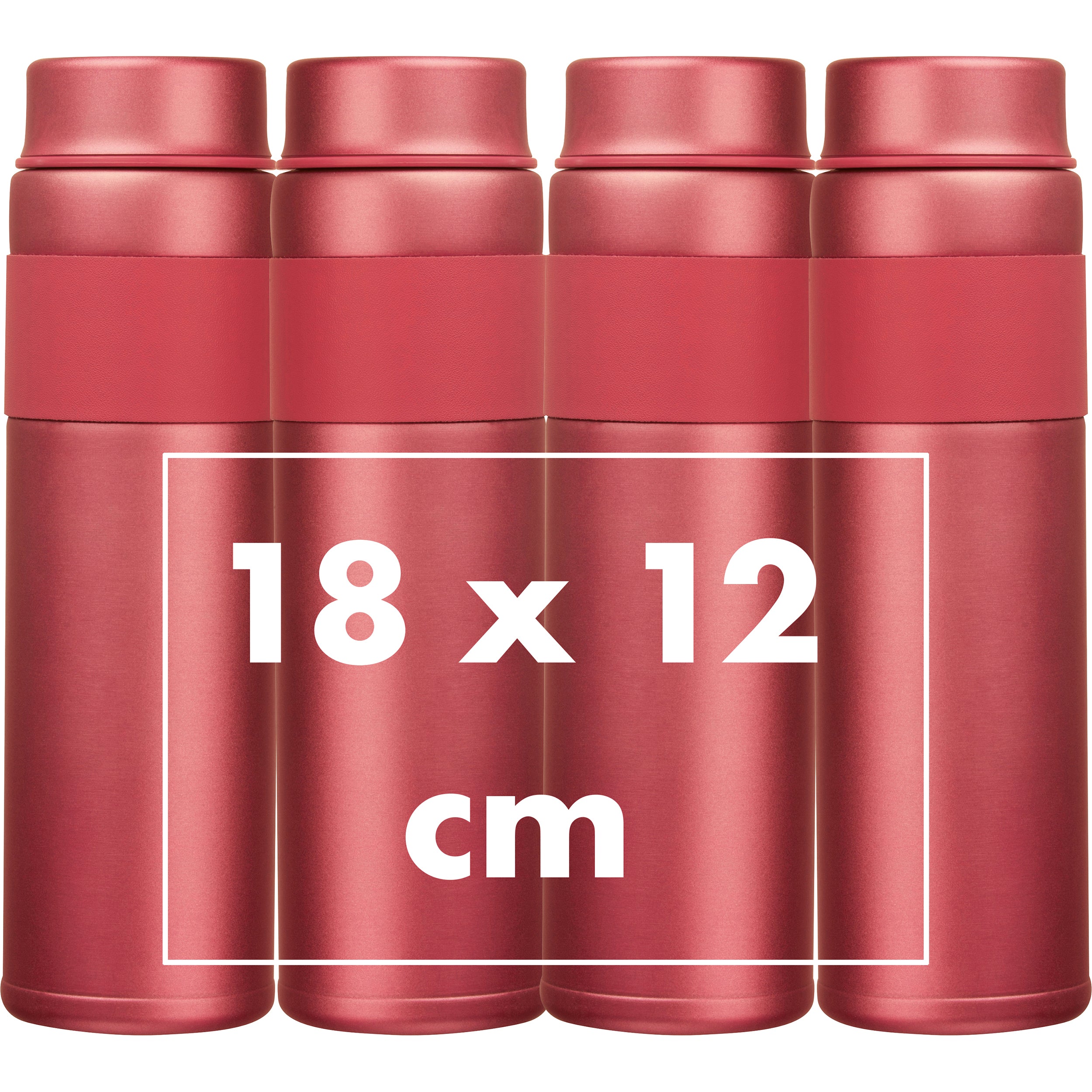 Vakuum Trinkflasche 600 ml NICOLE