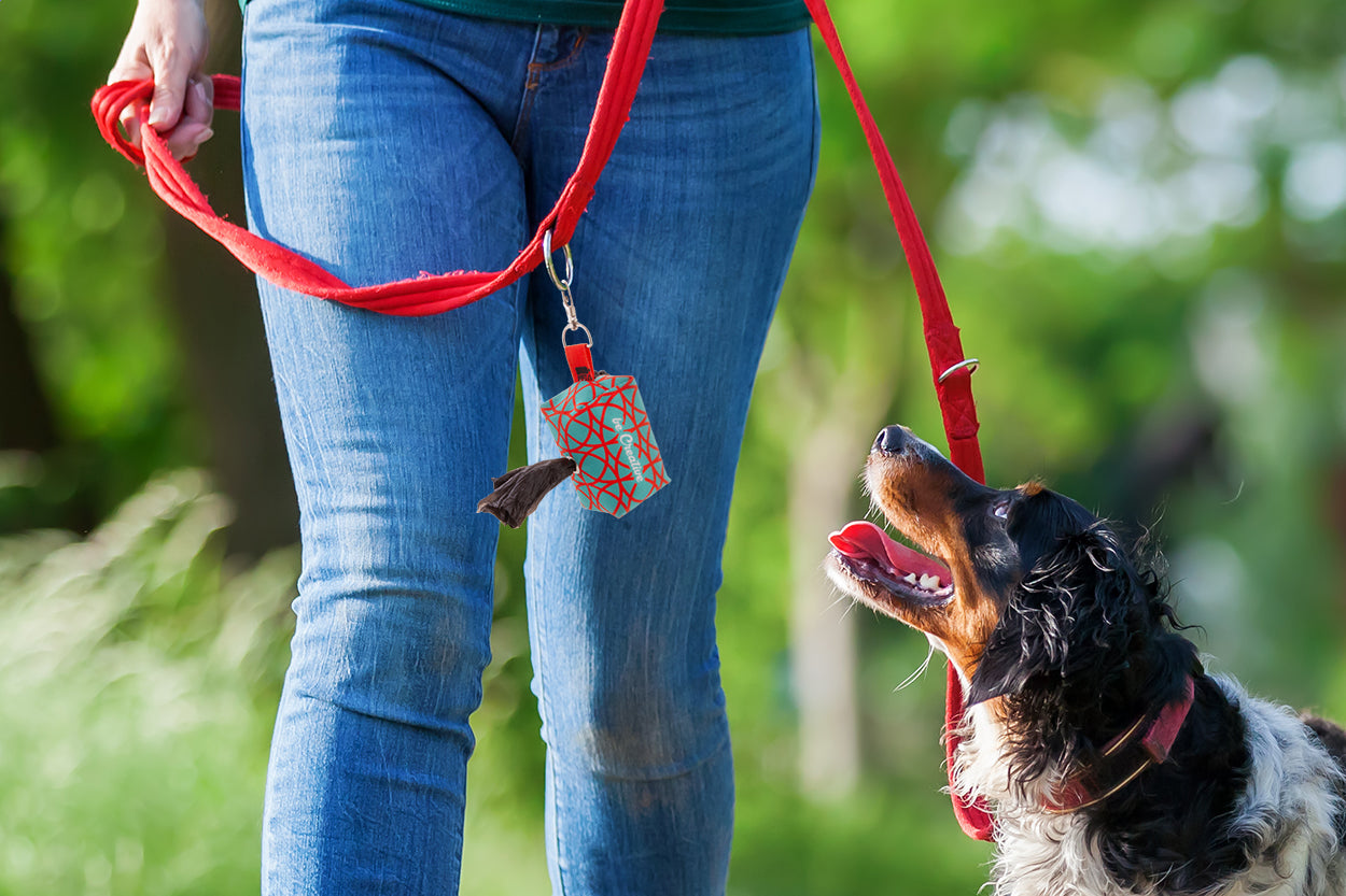 Pavesave Individueller RPET Hundebeutelspender