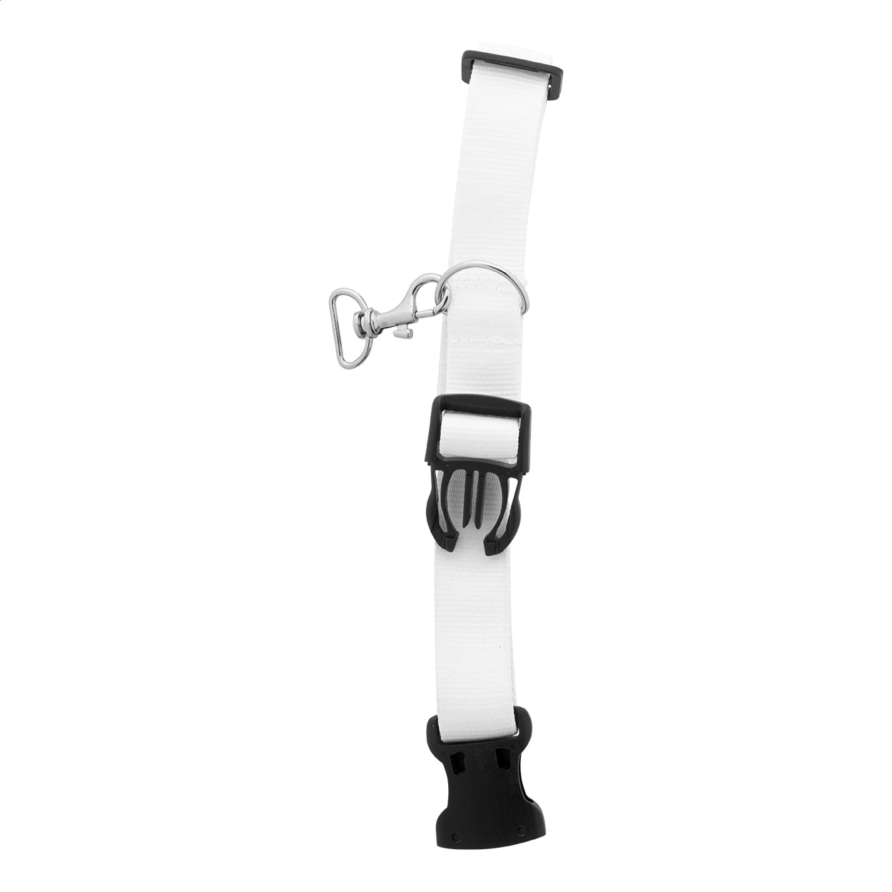 Ziggy Individuelles Hundehalsband