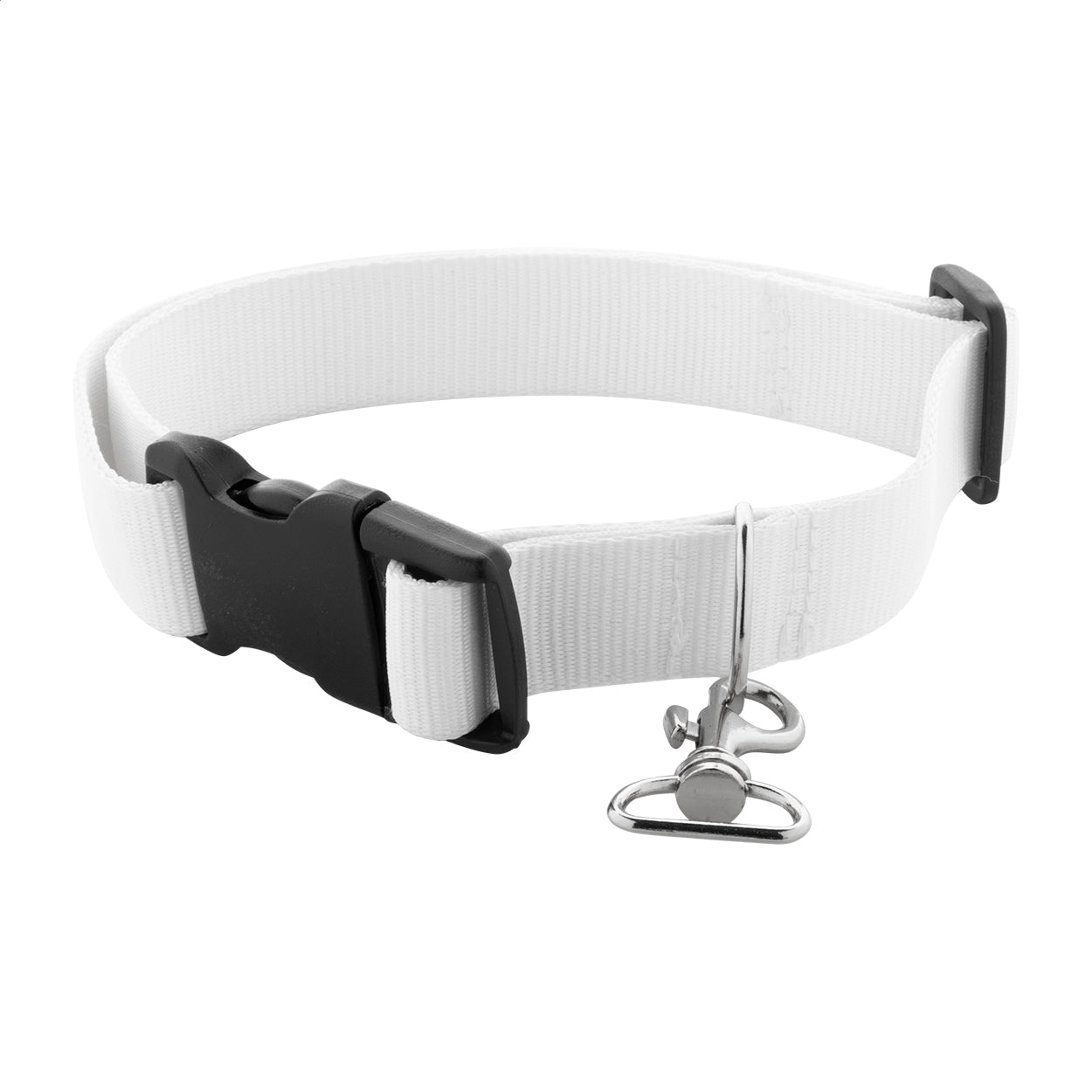 Ziggy Individuelles Hundehalsband
