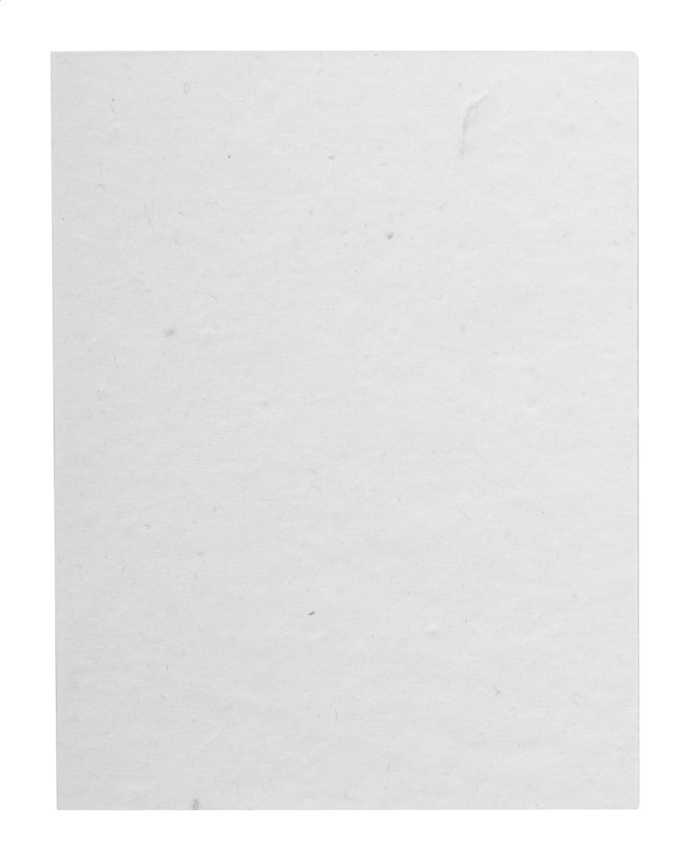CreaStick Seed Note L Individueller Haftnotizblock