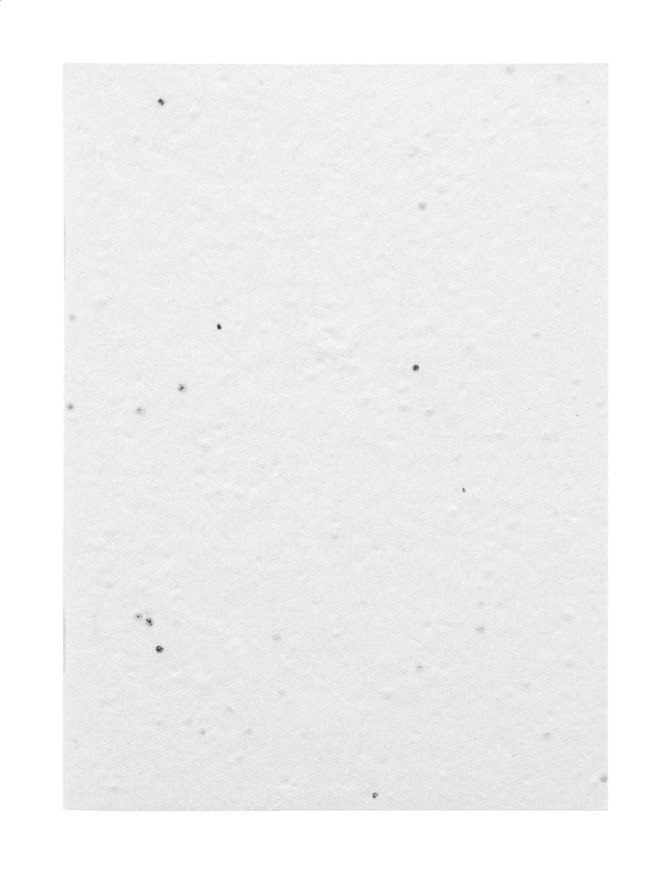 CreaNote A6 Seed individuelles Saatpapier-Notizbuch
