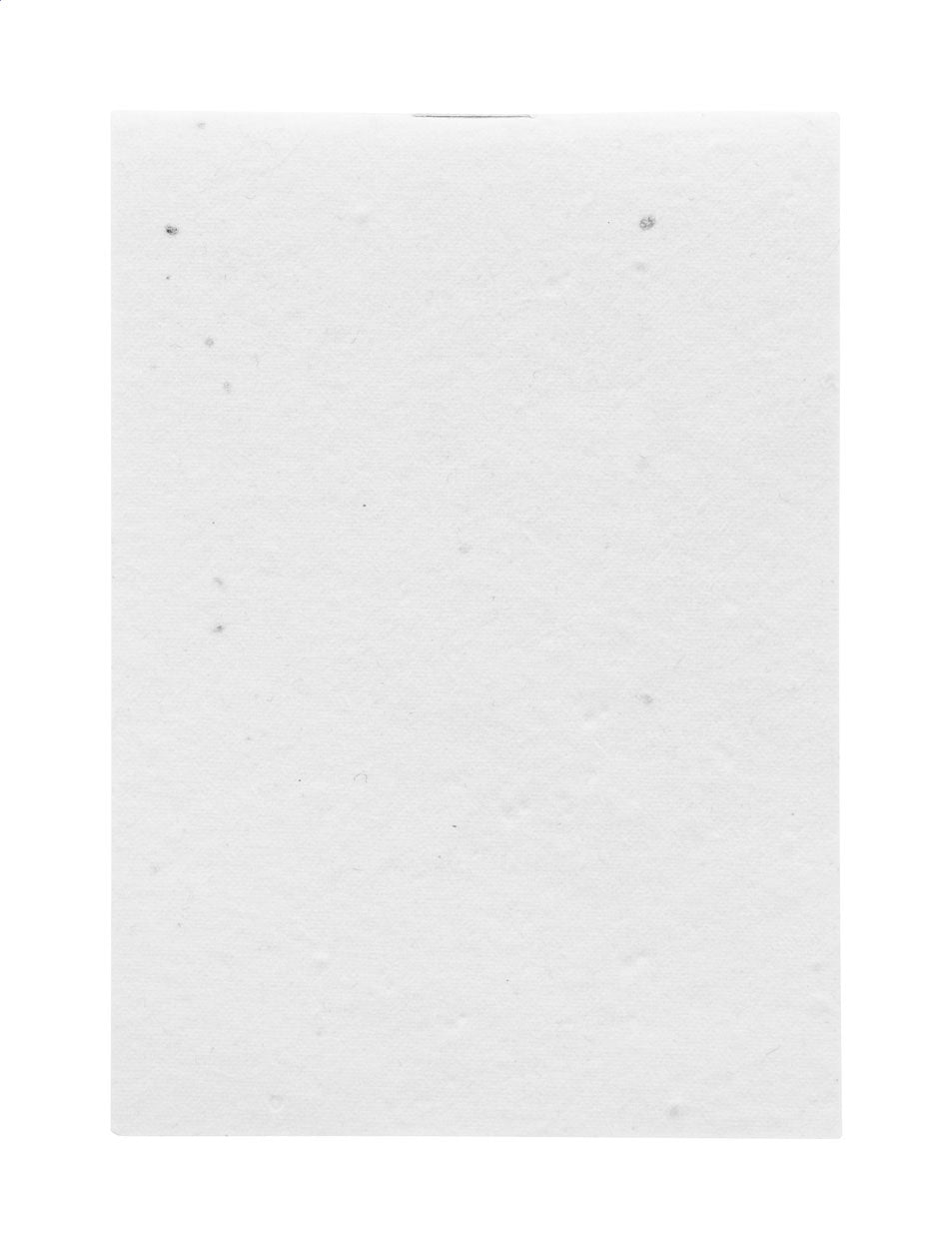 CreaNote Mini Seed individuelles Saatpapier-Notizbuch