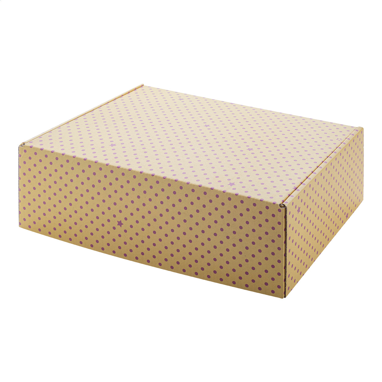 CreaBox Post L Versandkarton