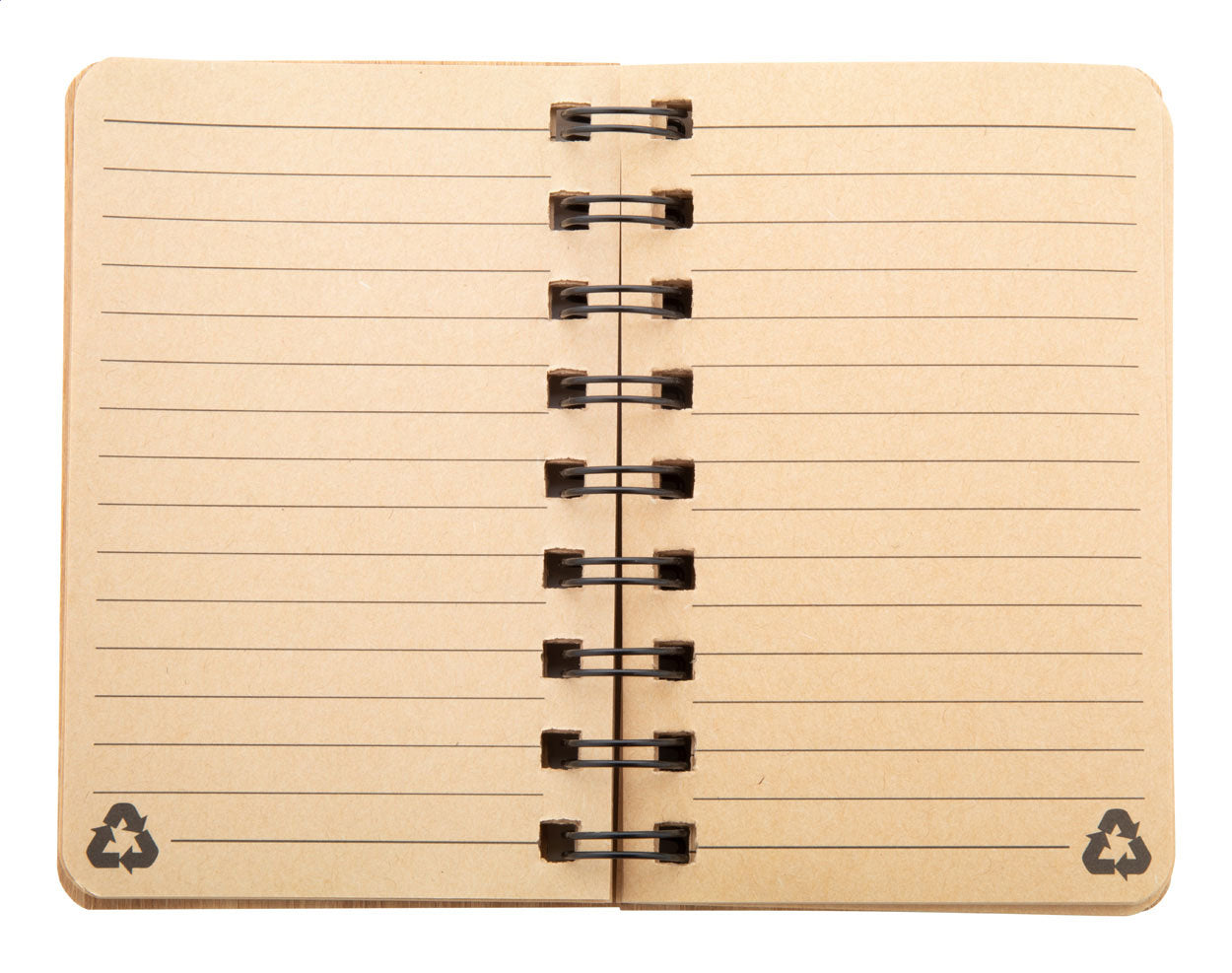 Adashi Noizbuch