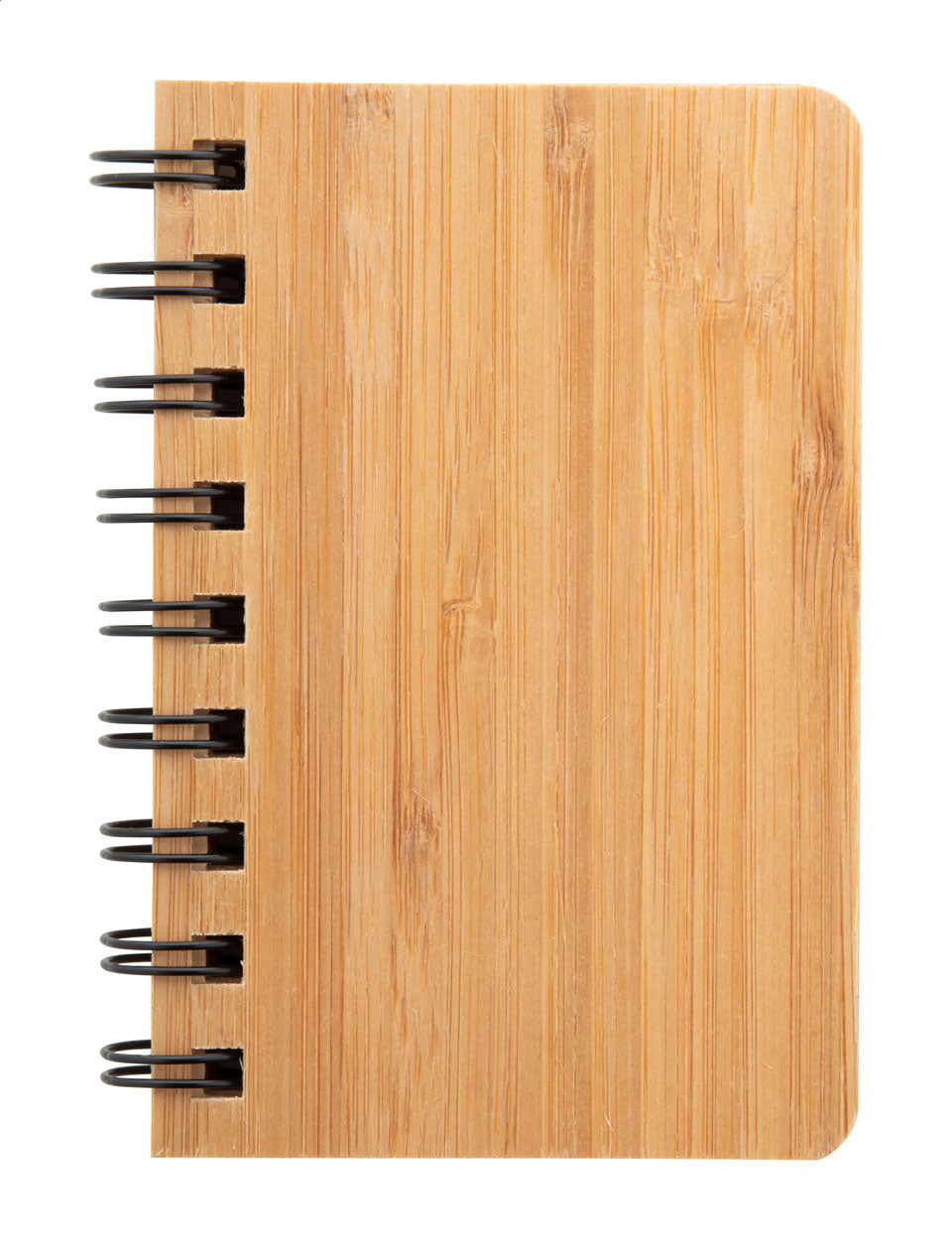 Adashi Noizbuch