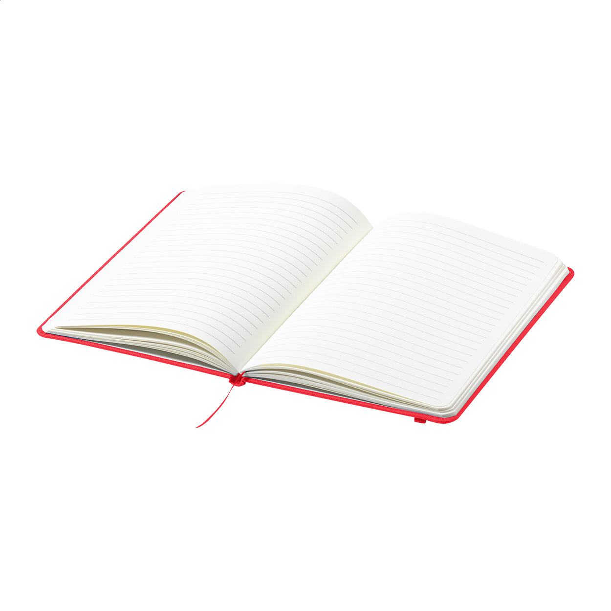 Baccata RPET-Notizbuch
