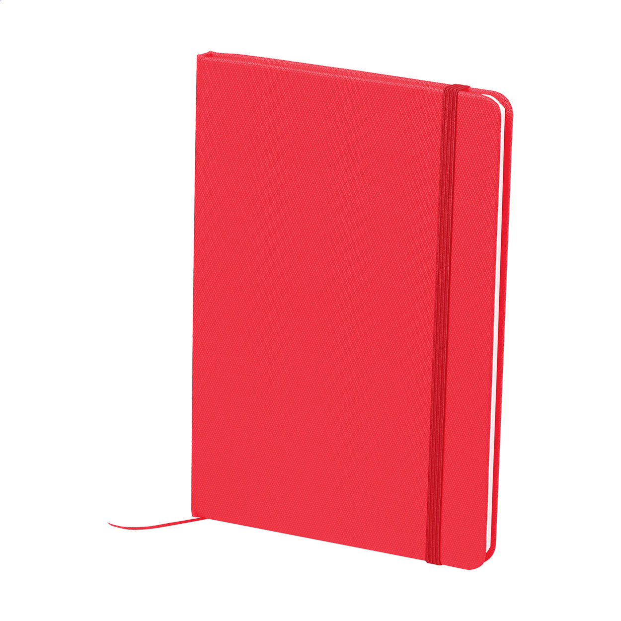 Baccata RPET-Notizbuch