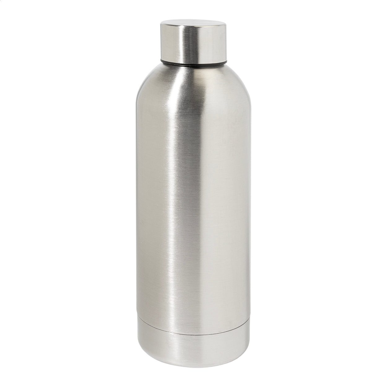 Blussi Edelstahl-Trinkflasche