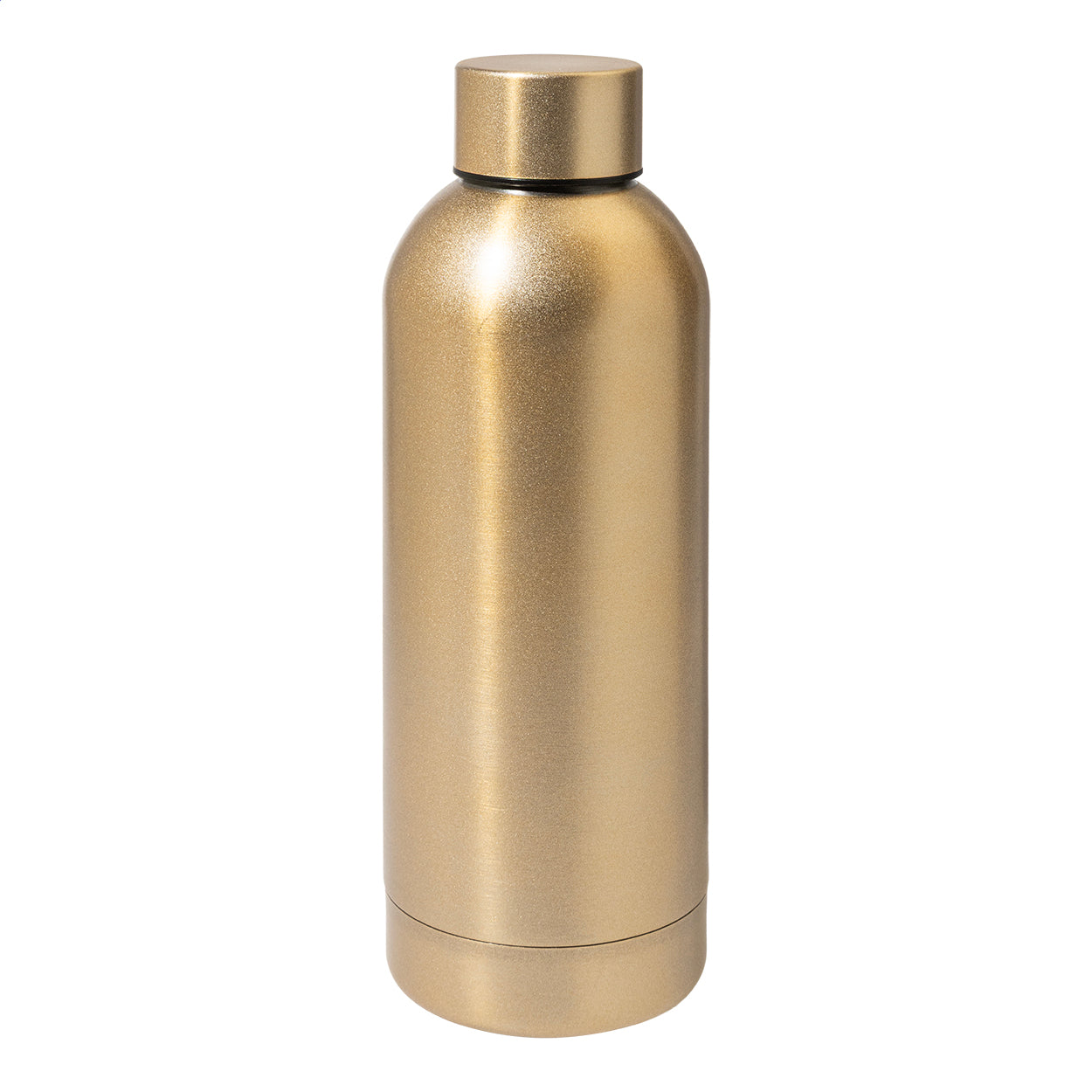 Blussi Edelstahl-Trinkflasche