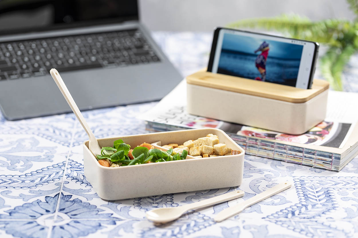 Laksa Lunchbox