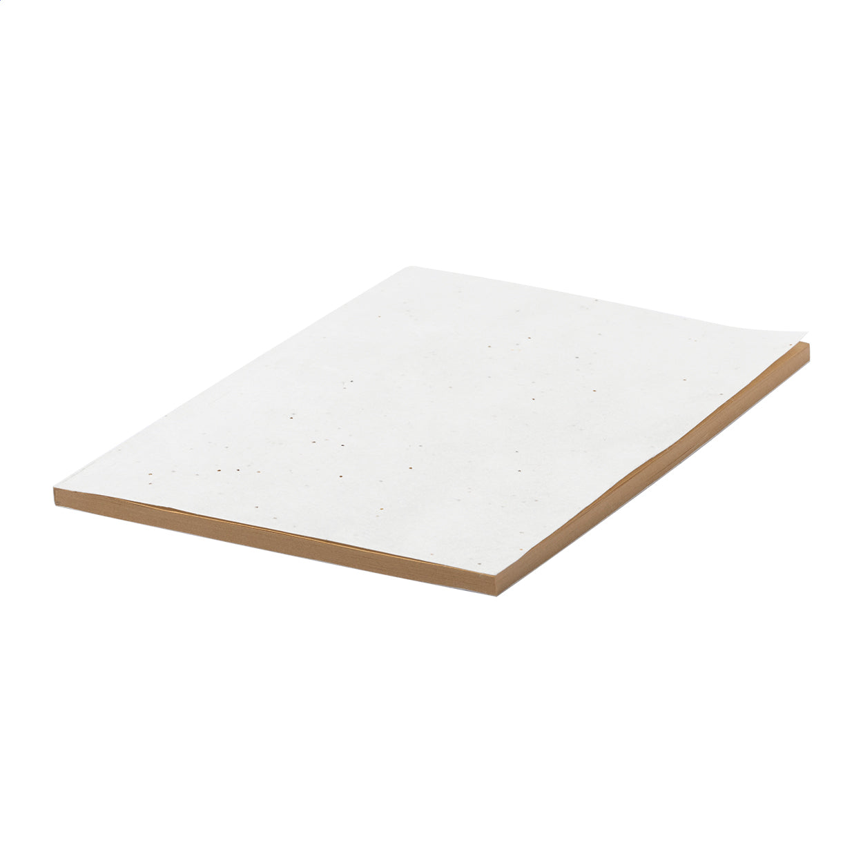 Semeno Note Samenpapier/Notizbuch