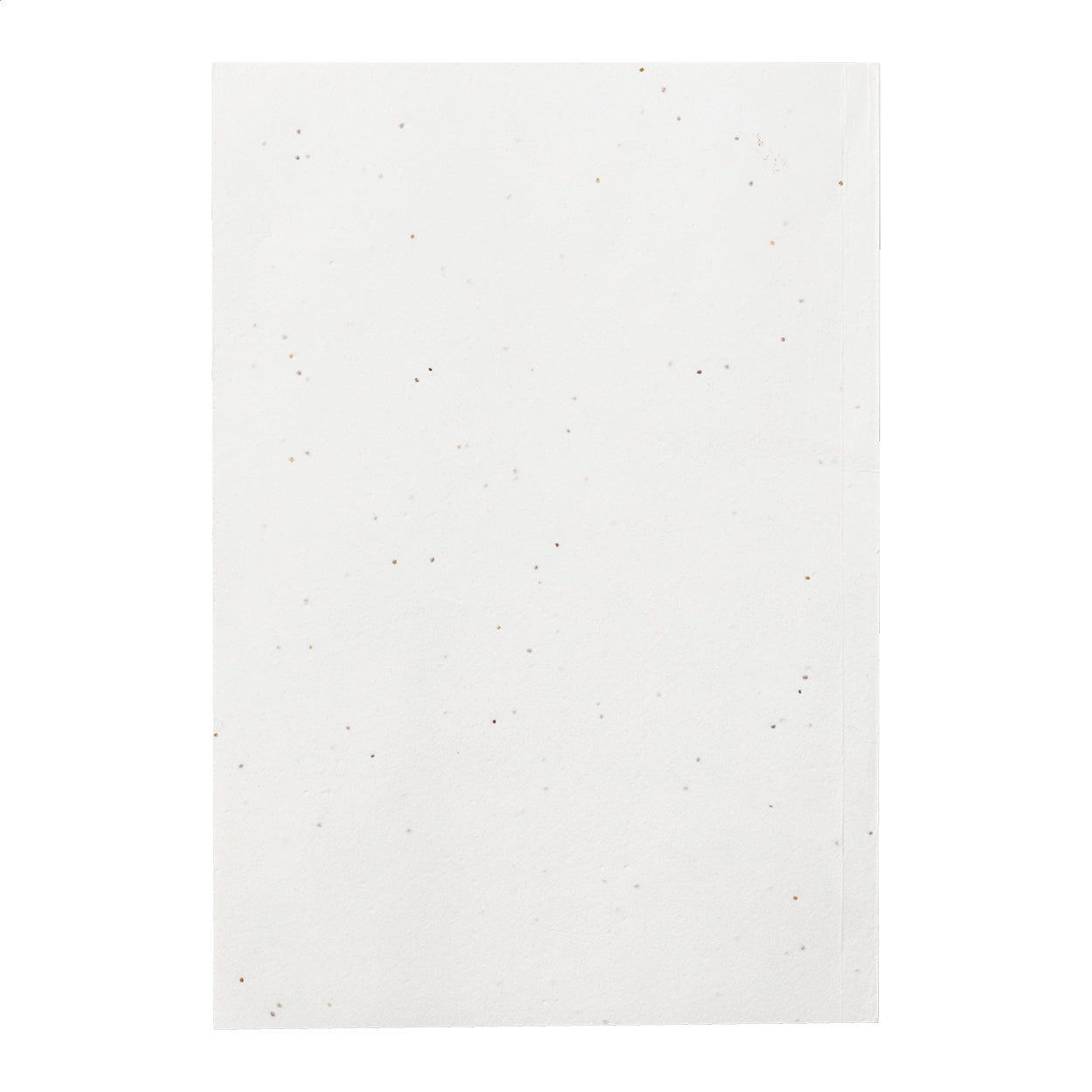 Semeno Note Samenpapier/Notizbuch