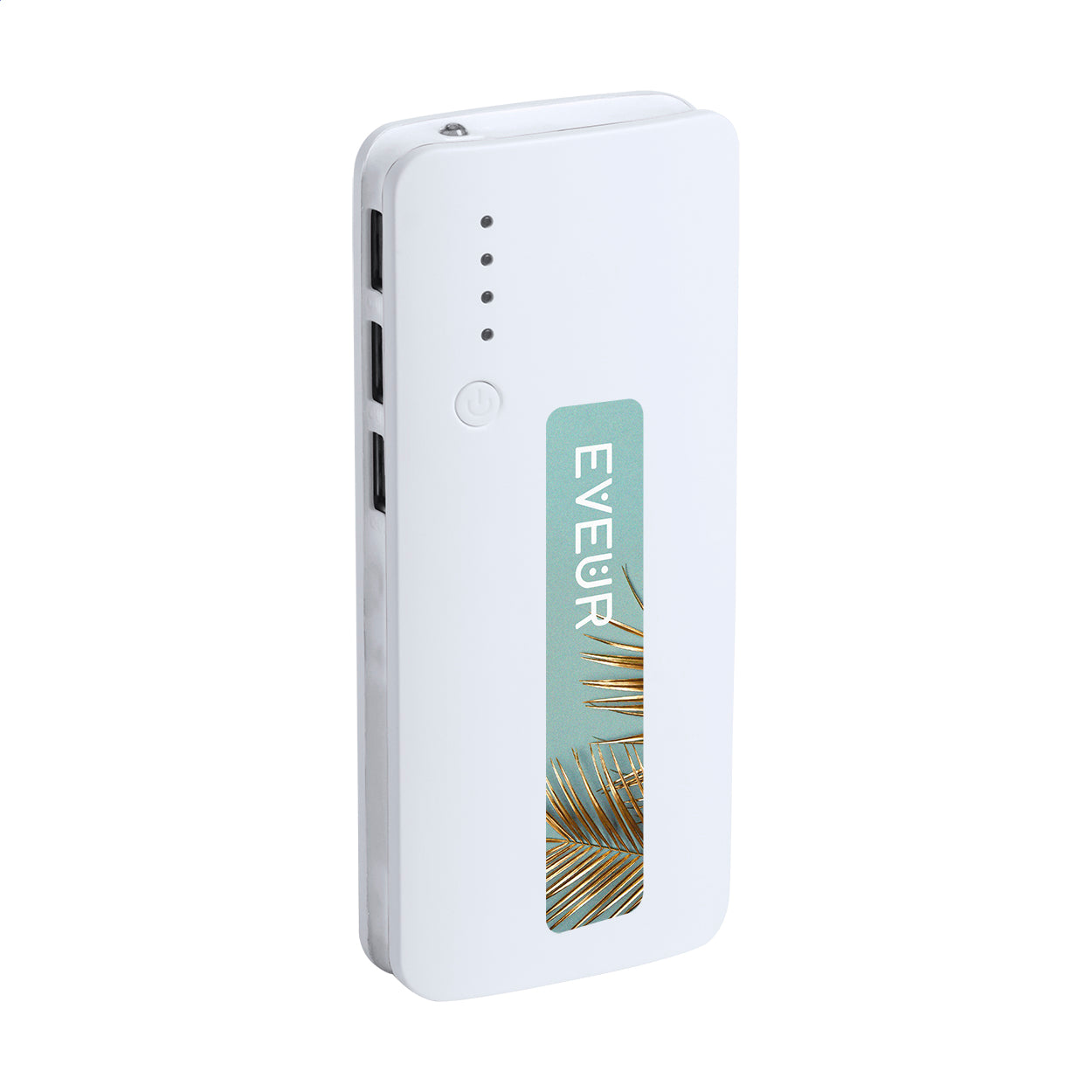 Tenak Powerbank