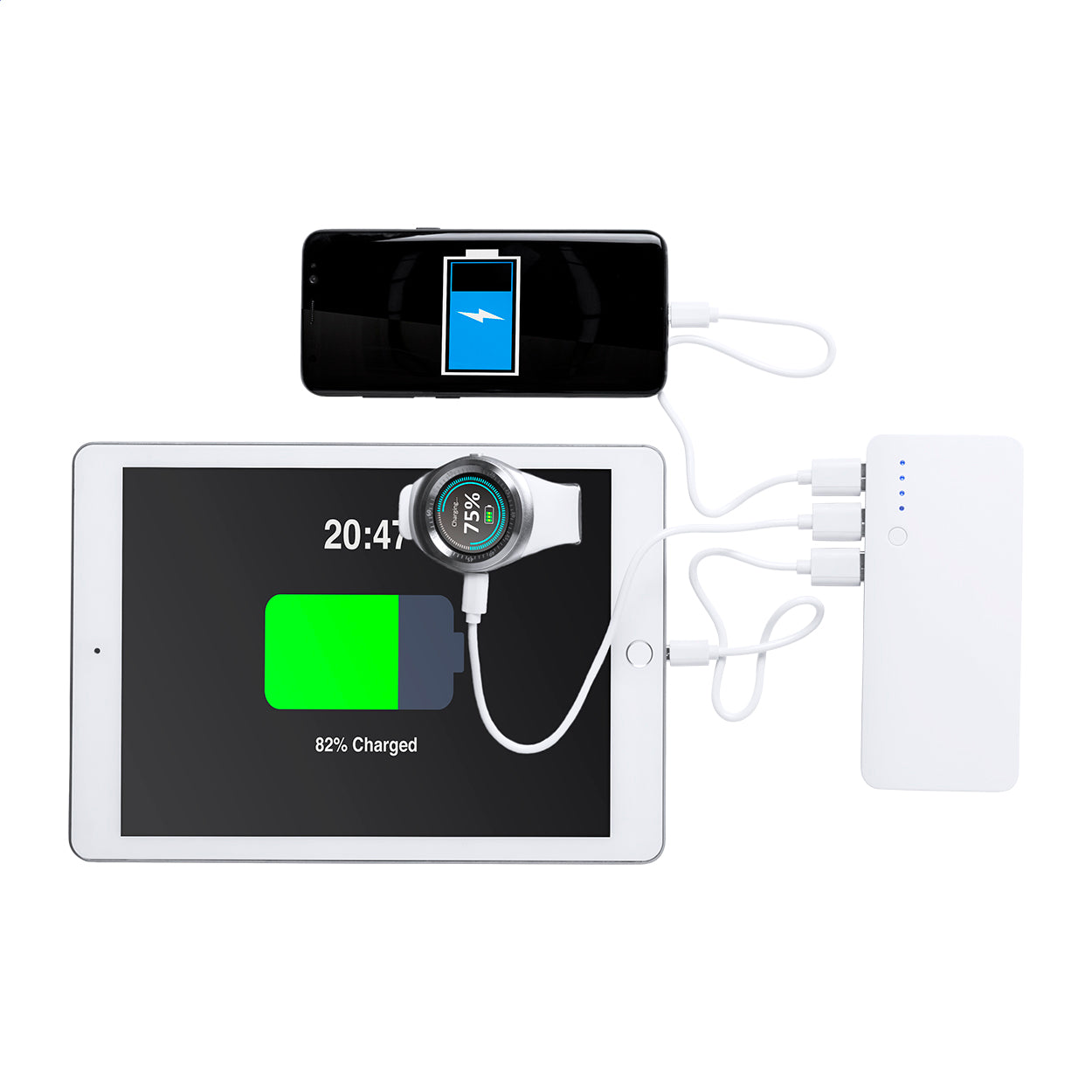Tenak Powerbank