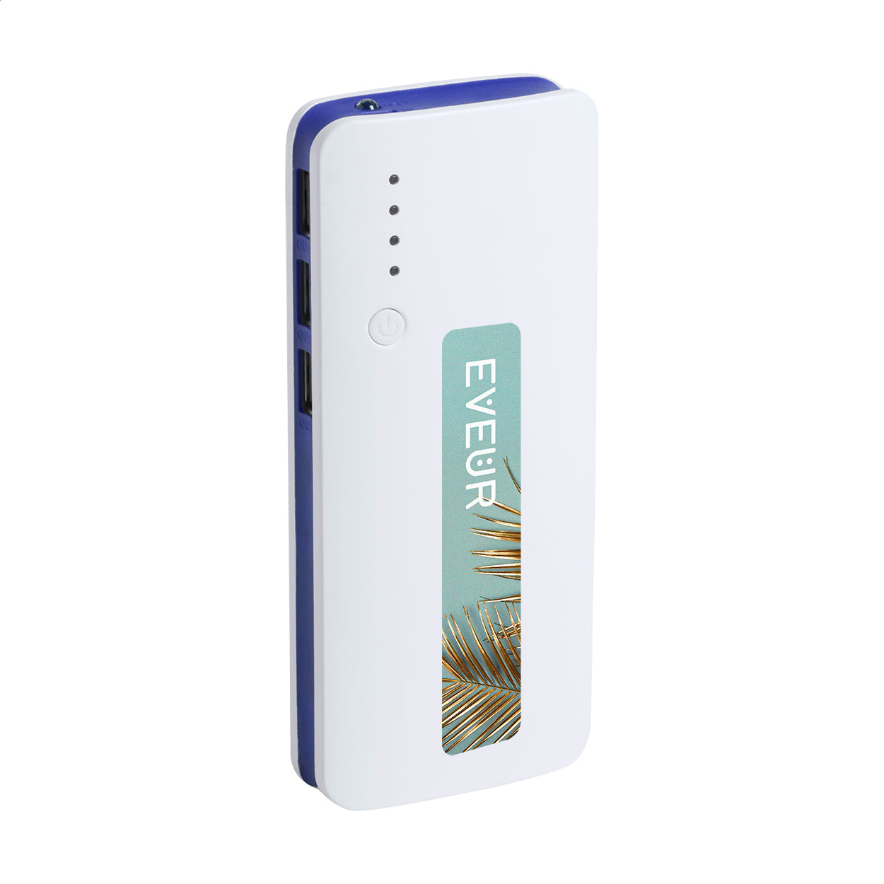 Tenak Powerbank