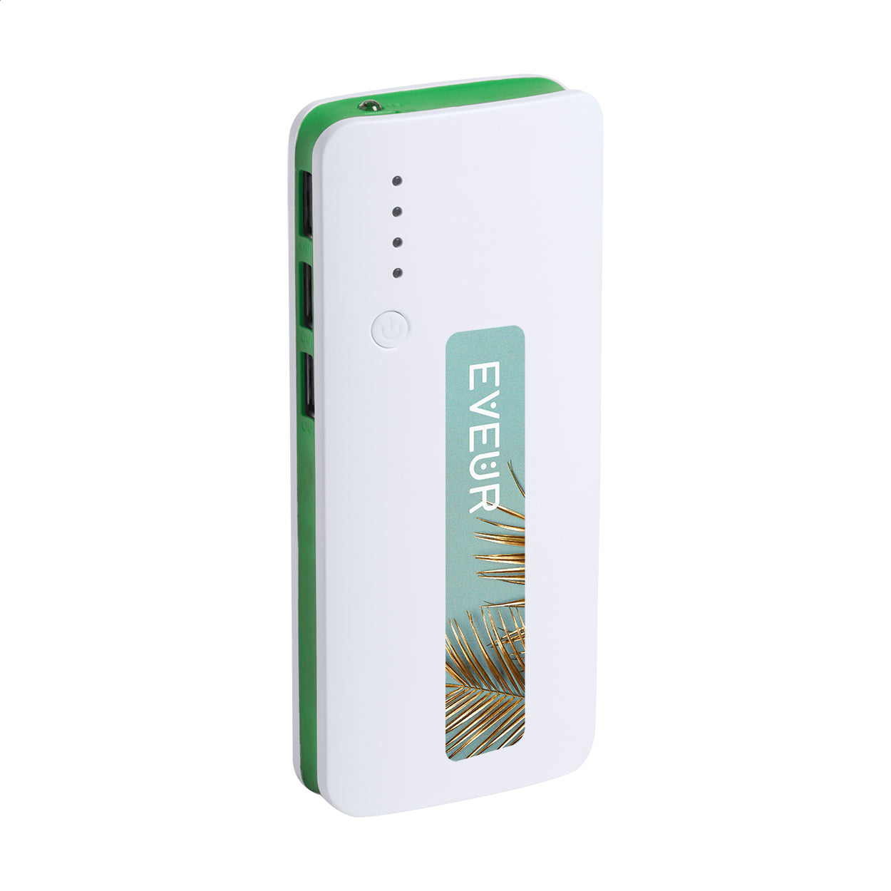 Tenak Powerbank