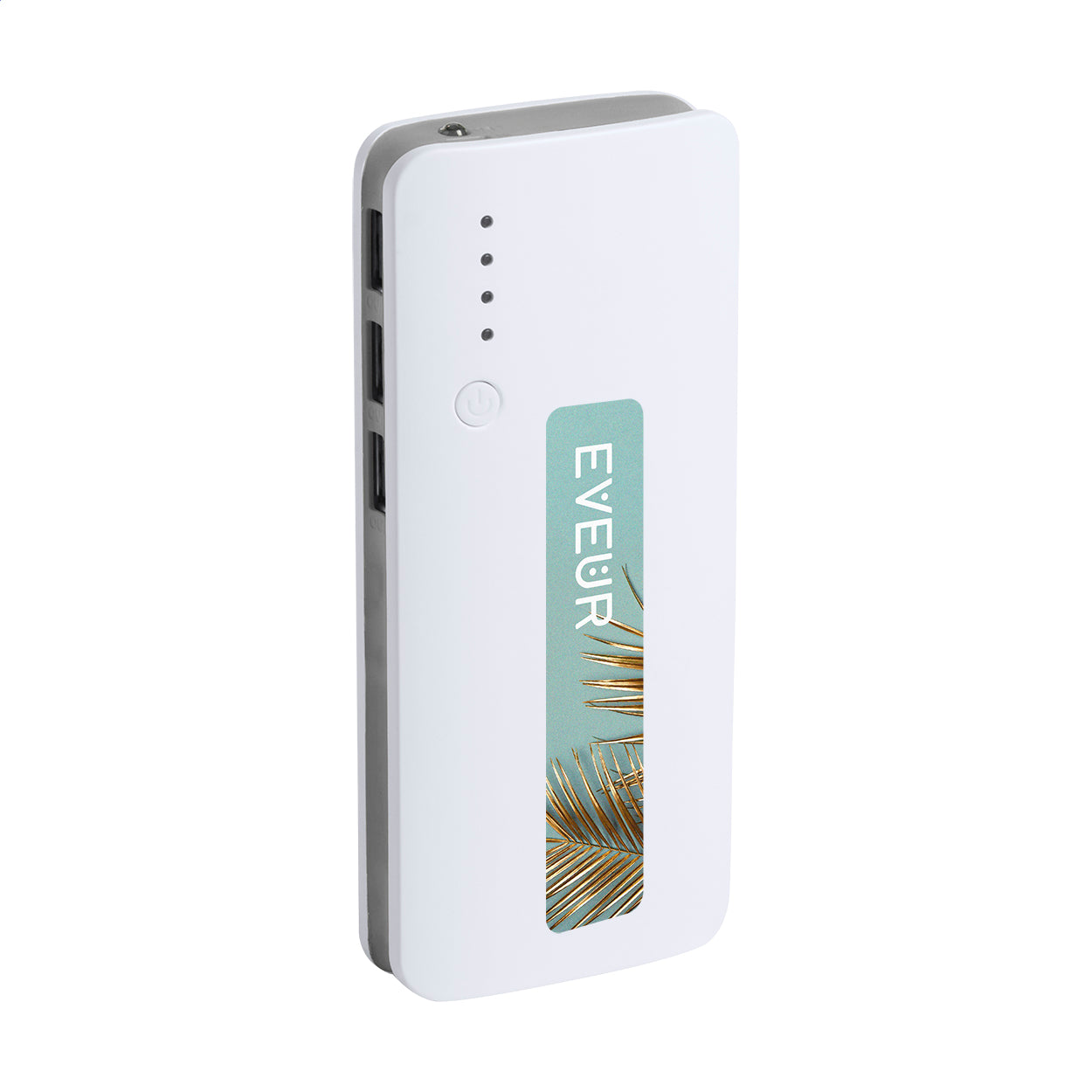 Tenak Powerbank