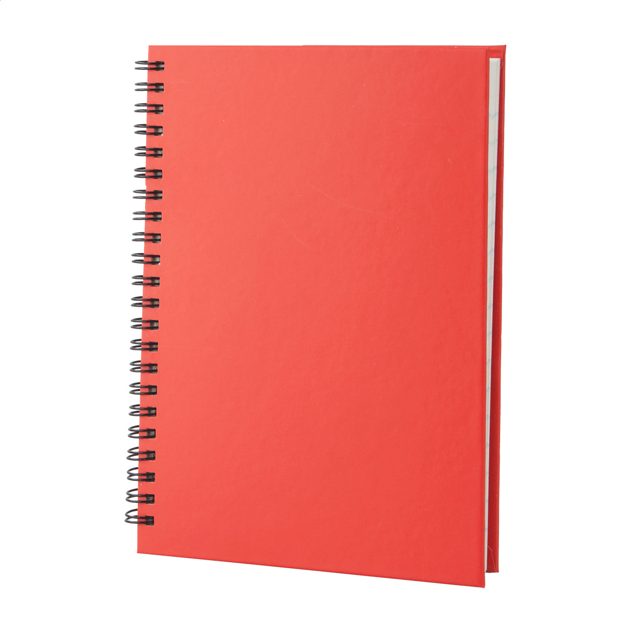 Cedrus A5 Notizbuch